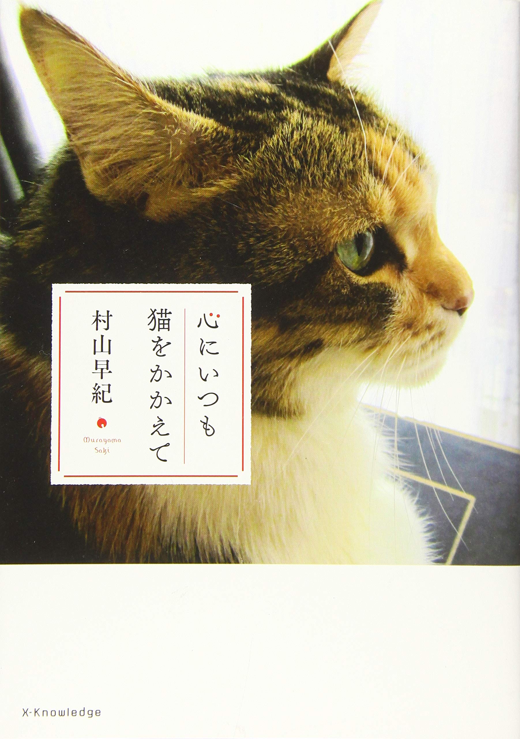 心にいつも猫をかかえて 村山 早紀 マルモトイヅミ 本 通販 Amazon