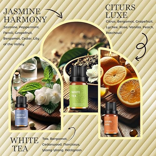 Miniatura 10 de Juego de 6 aceites esenciales puros, los 6 mejores aceites de aromaterapia, aceites esenciales para difusores para el hogar, menta, lavanda,