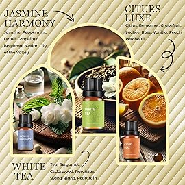 Premium Hotel Fragrance Oil Collection for Diffusers, Essential Oils for Diffusers for Home, Hotel Diffuser Fragrance Oils,Spa & Candle Making, White Tea, Citrus Luxe, Velvet Night and More - 6x10ml