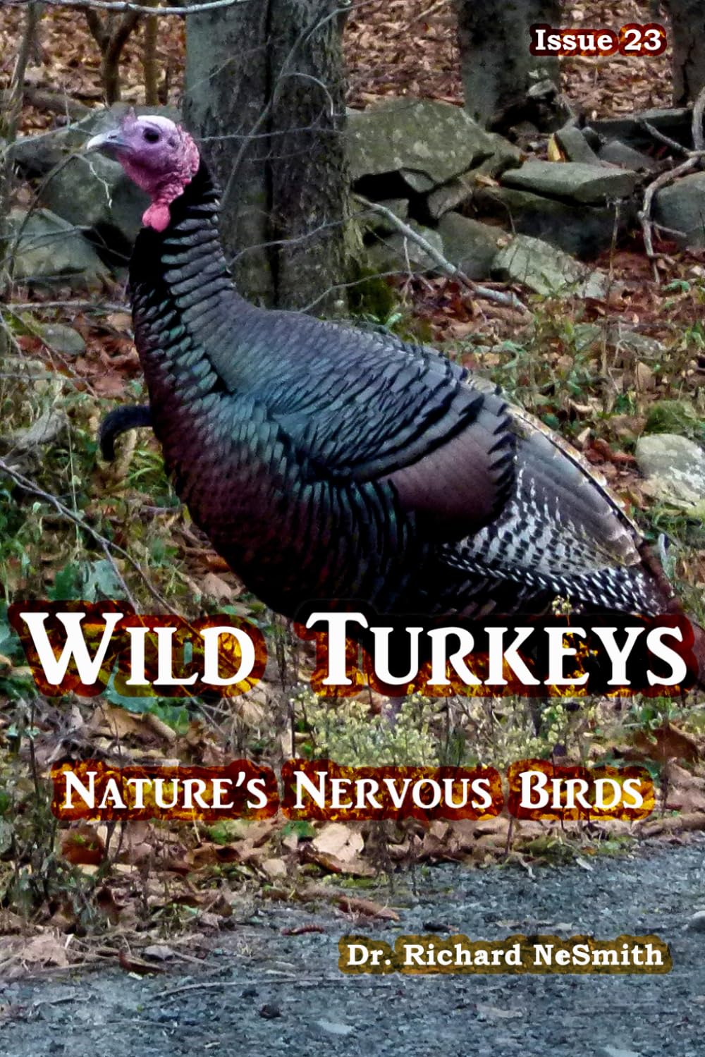 Wild Turkeys: Nature's Nervous Birds! (Love of Nature)