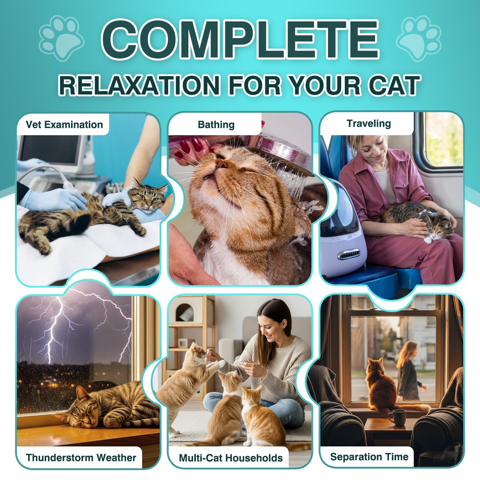 MNQAXZ Cat Calming Treats, 140 Soft Chews to Relieve Anxiety, Stress & Prevent Bites, Perfect for Travel & Veterinary Visits, Soothing Calming Care for Indoor Cats Chicken Flavor 7.41 OZ - image 4