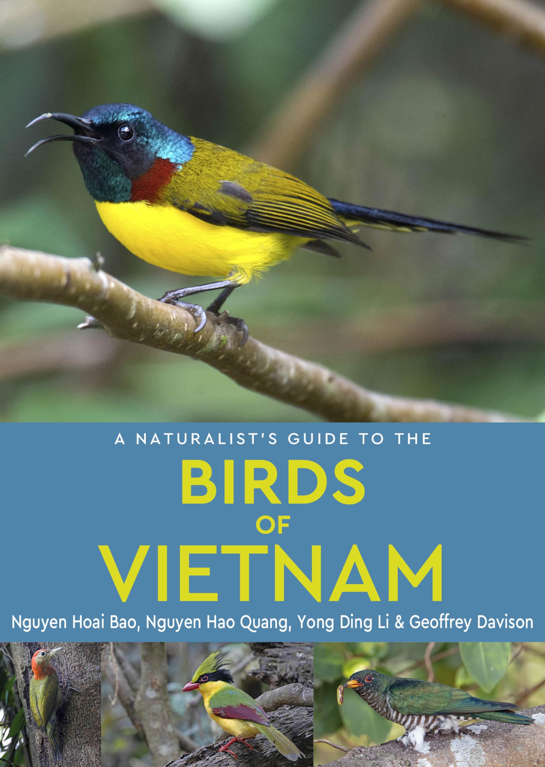 Birds Of Vietnam