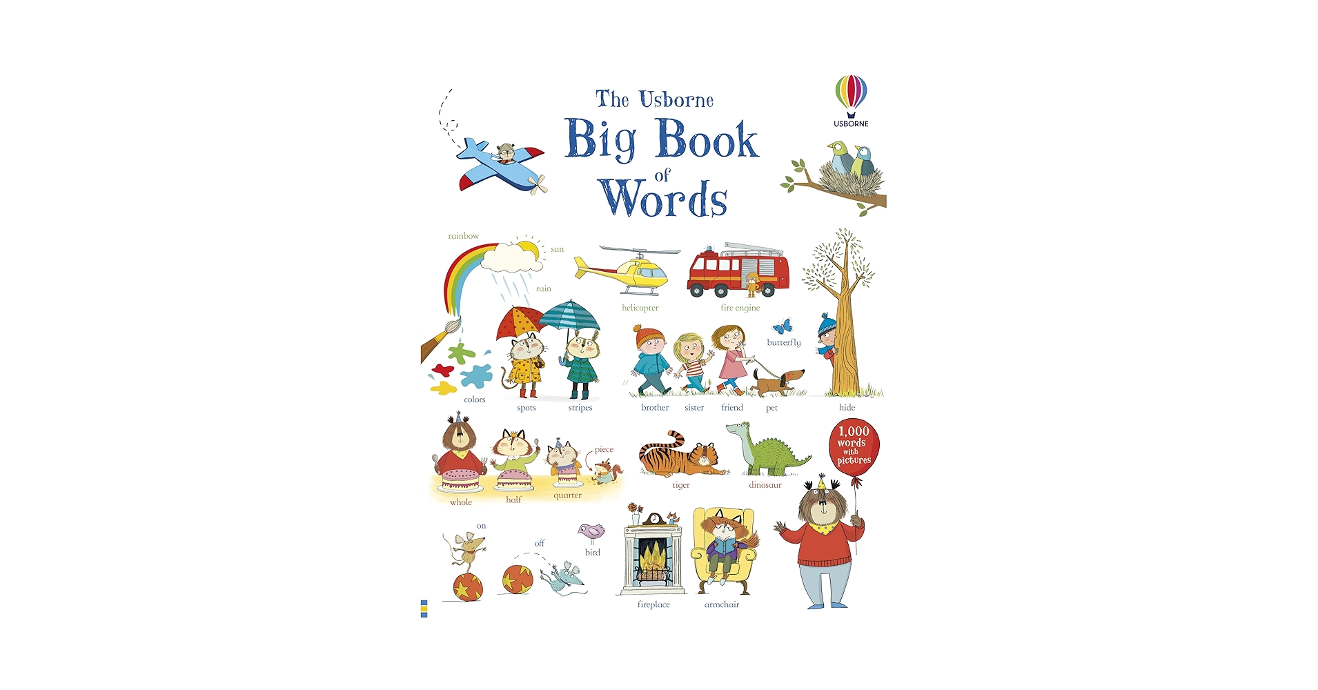 Amazon.com: Big Book of Words: 9781805317395: Mackinnon