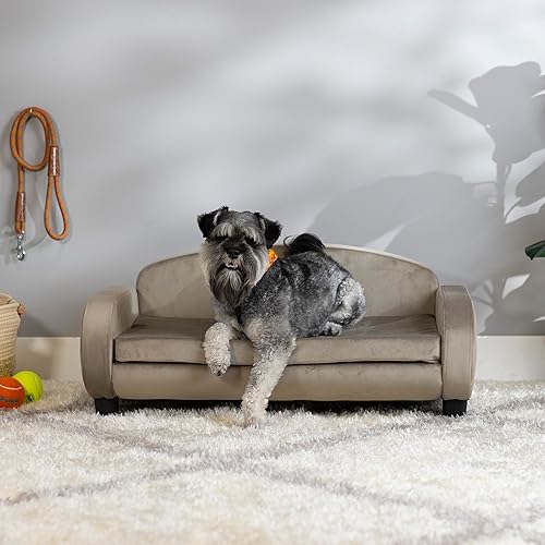 Miniatura 5 de Paws & Purrs Sofá moderno para mascotas de 35.5 pulgadas de ancho para perros o gatos medianos con funda de colchón extraíble y lavable