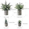 Product Photo 2