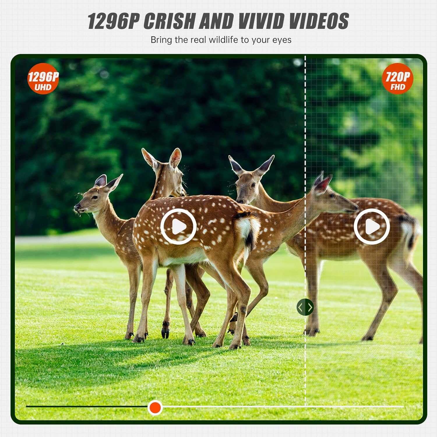 NEXCAM T85 Trail Camera Accessories