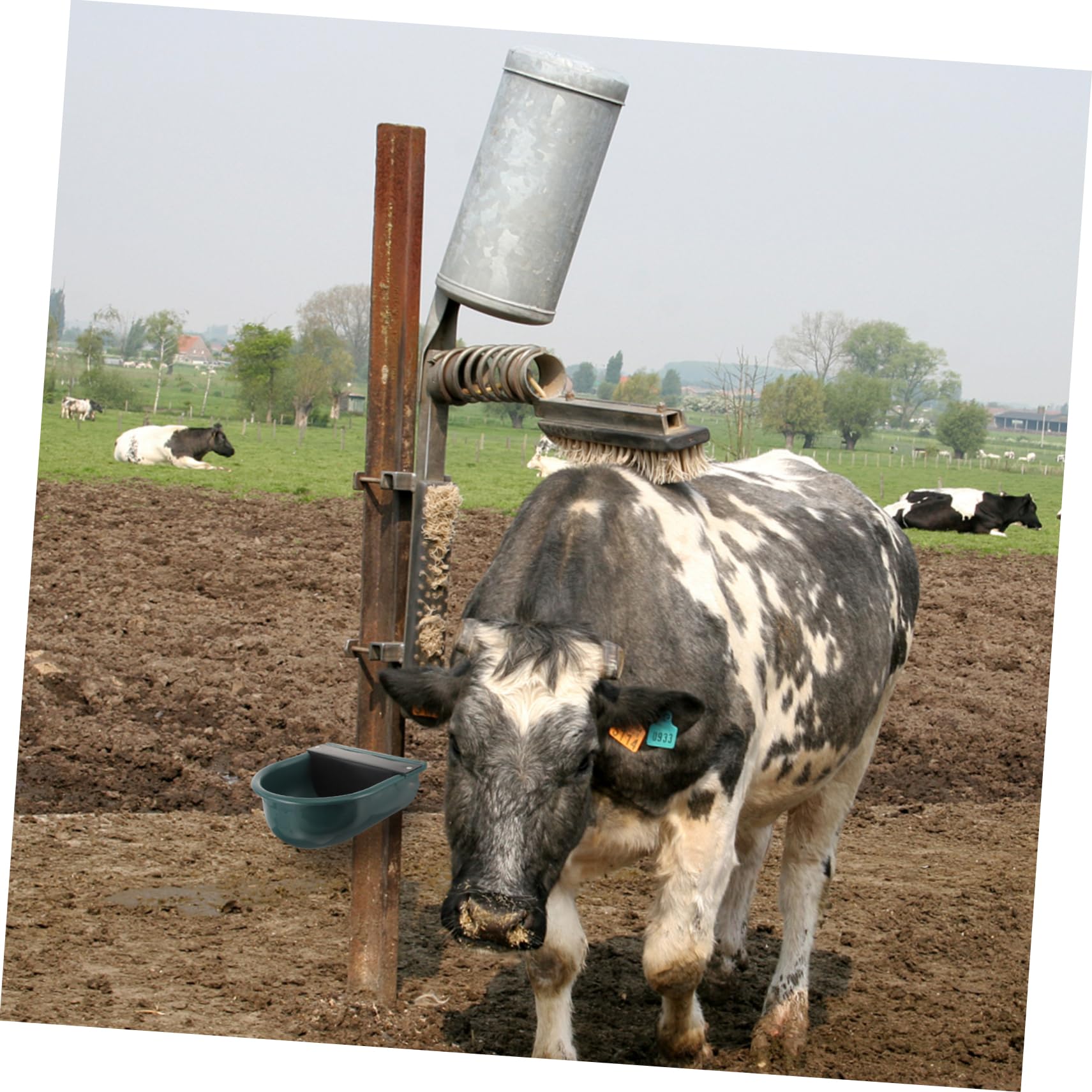 Abreuvoir Automatique Bovin en Plastique pour Vaches et Chèvres | Propre et Hygiénique, Résistance à Corrosion, Entretien Simple, Usage en Exploitation au Quotidien