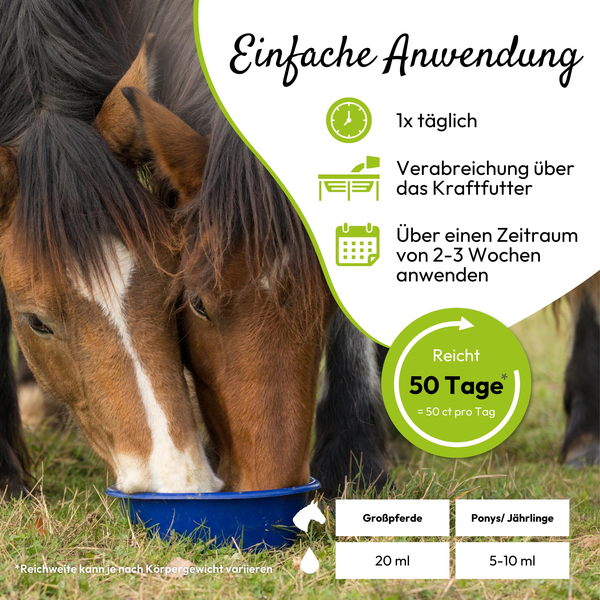 PHA-2 Caballo, Forro Complemento para Apoyo del Sistema nervioso y función de Cambio de plástico, líquido, Complejo de Vitamina B Liquid, 1000 ml