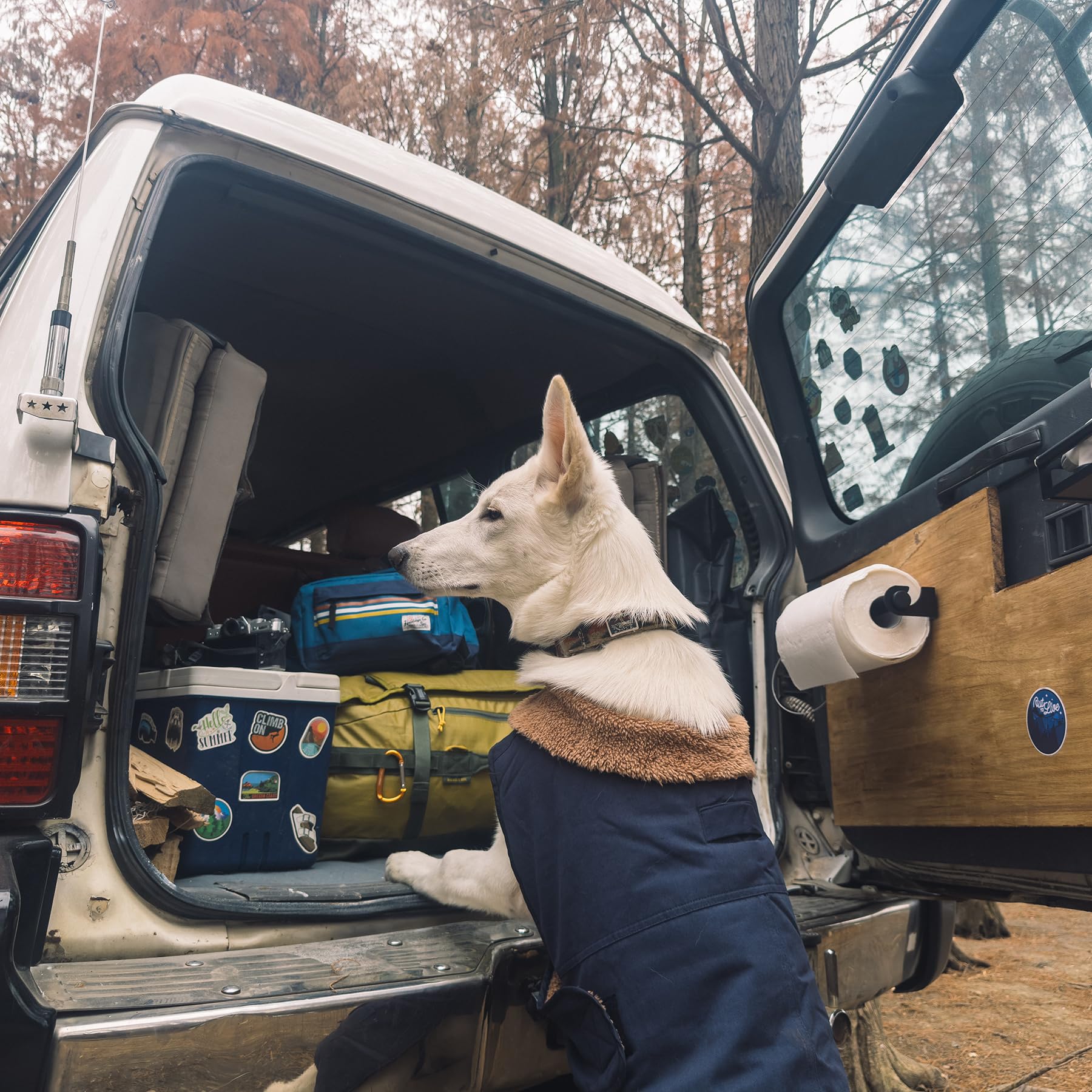 Sedona Dawn Hunde-Winterjacke für mittelgroße und große Hunde, Hunde-Wintermantel, warmes Sherpa-Fleece gefüttert, Segeltuch, Hundemantel für kaltes Wetter, Baumwolle,