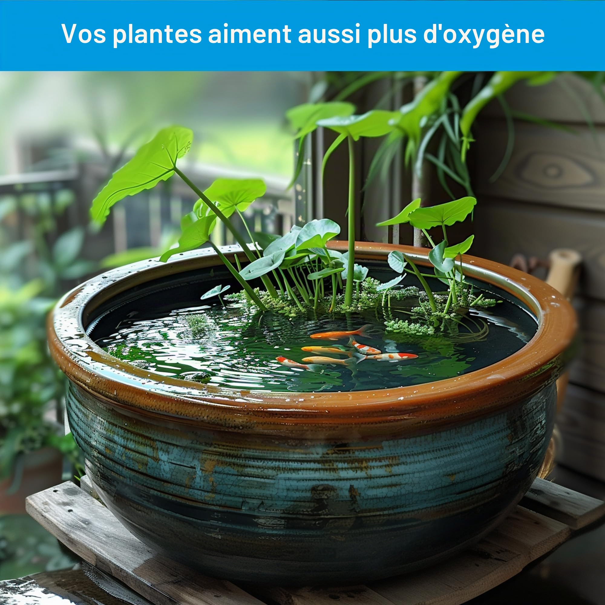 Biling Aérateur de bassin solaire - Pompe à oxygène avec batterie 2200 mAh - Panneau en verre de 2,5 W - Tuyau de 3 m - IPX5 - Silencieux - Pompe à air solaire pour étang de jardin, citerne d'eau de