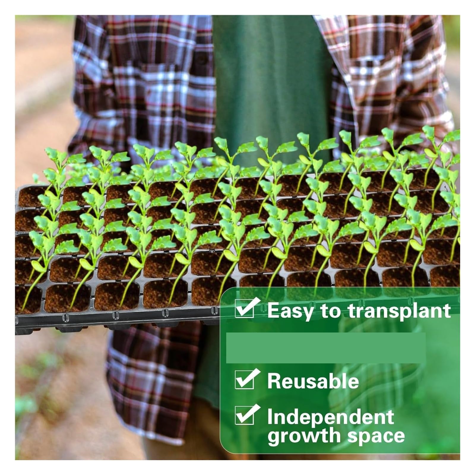 Bandejas para Semillas 5/10 Piezas 50 bandejas for iniciar Semillas, bandejas for plántulas, germinación con Orificios de Drenaje for Cultivar plántulas para Semilla(10Pcs)