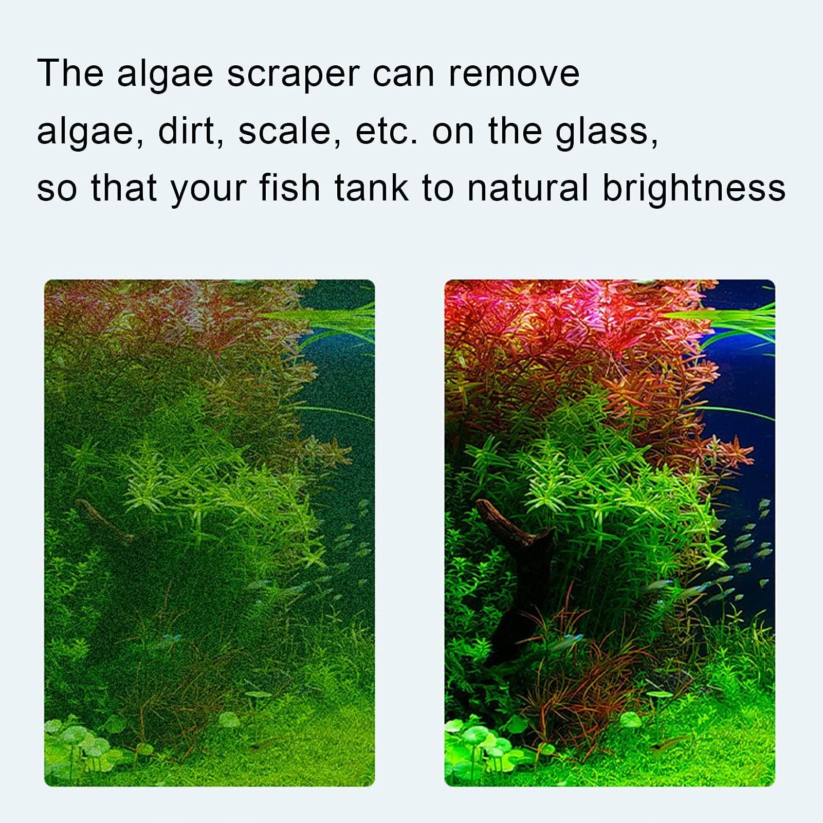 Grattoir à Algues pour Aquarium avec Manche Long, Nettoyeur de Verre avec Lames Remplaçables, Outil de Nettoyage Standard pour Aquarium en Verre