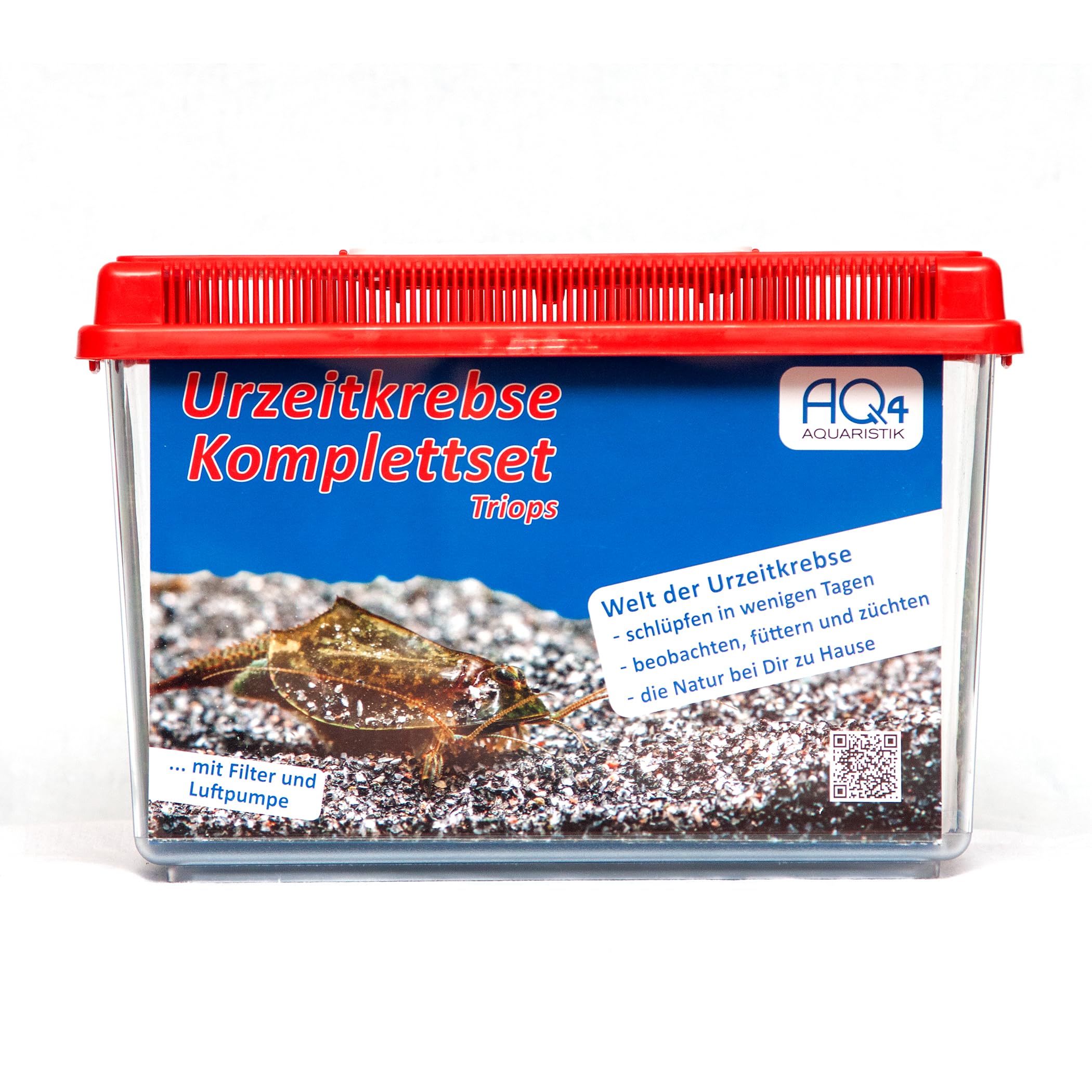 Triops cancriformis Premium Komplett-Set 6 l mit Urzeitkrebs Eiern, Becken, LED-Beleuchtung, Zuchtansatz, Filter, Luftpumpe, Kescher, Futter, Zubehör, Anleitung