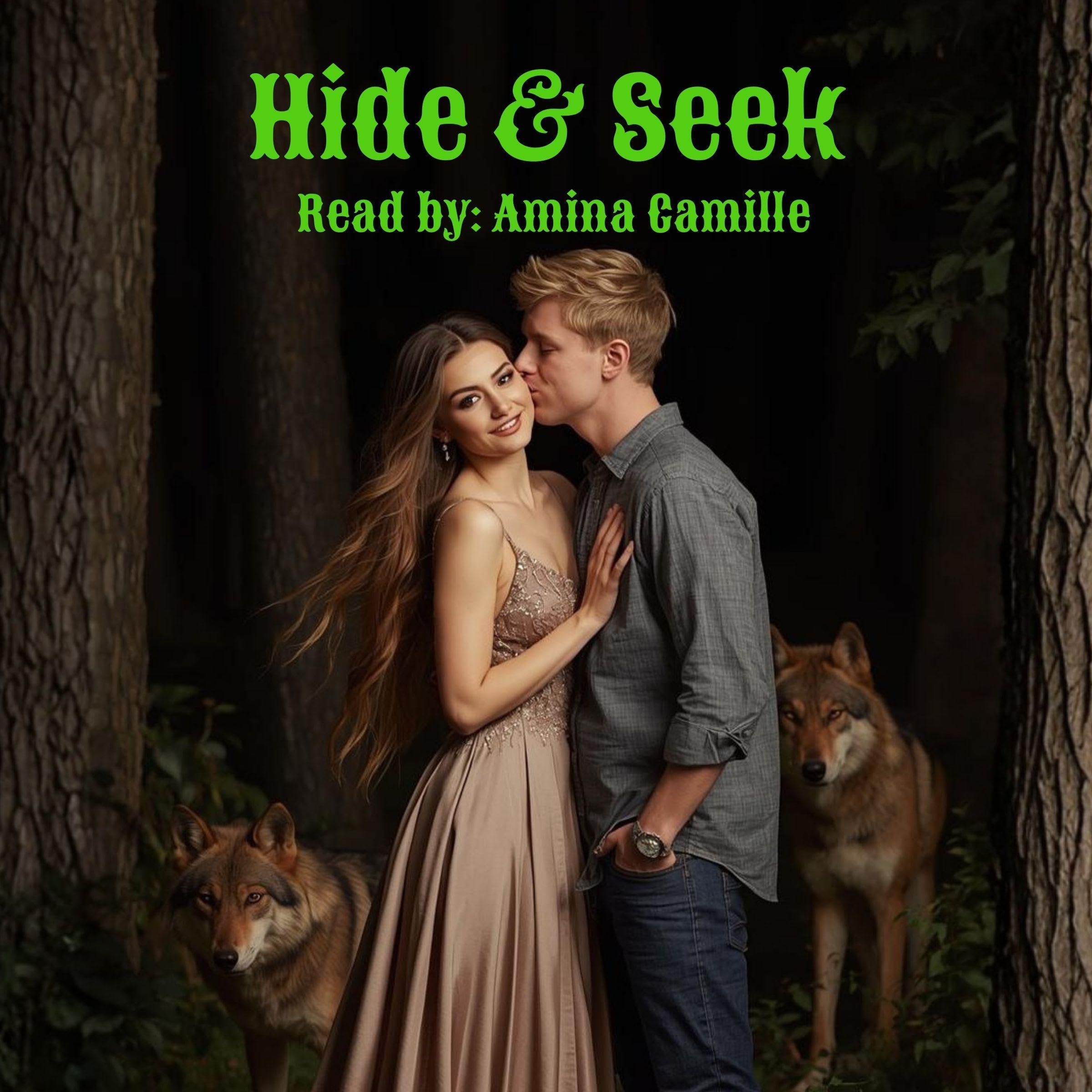 Cover art for Hide and Seek