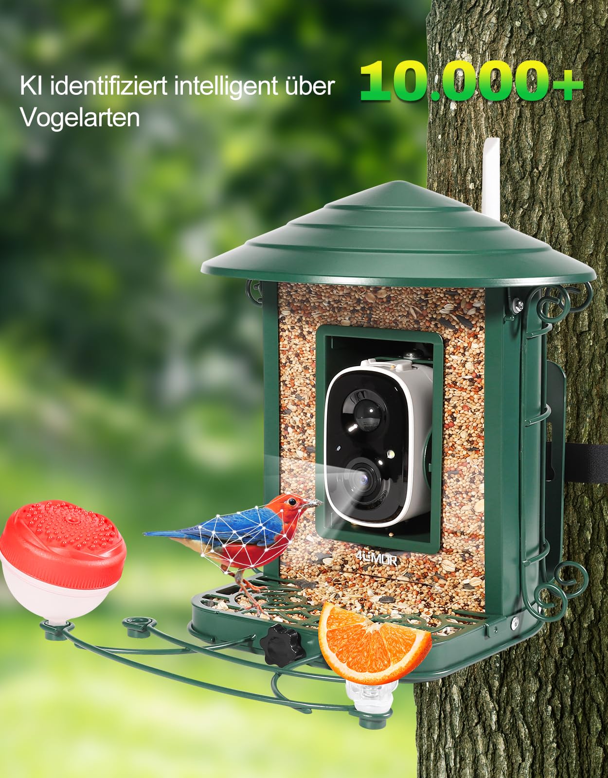 4UMOR Vogelfutterhaus mit Kamera, KI-Vogelerkennung Live-Beobachtung Automatische Aufnahme Solarbetrieb Metall Vogelfutter mit Eichhörnchensicher WLAN & Nachtsicht IP65 Wasserdicht 2K HD Video Smart