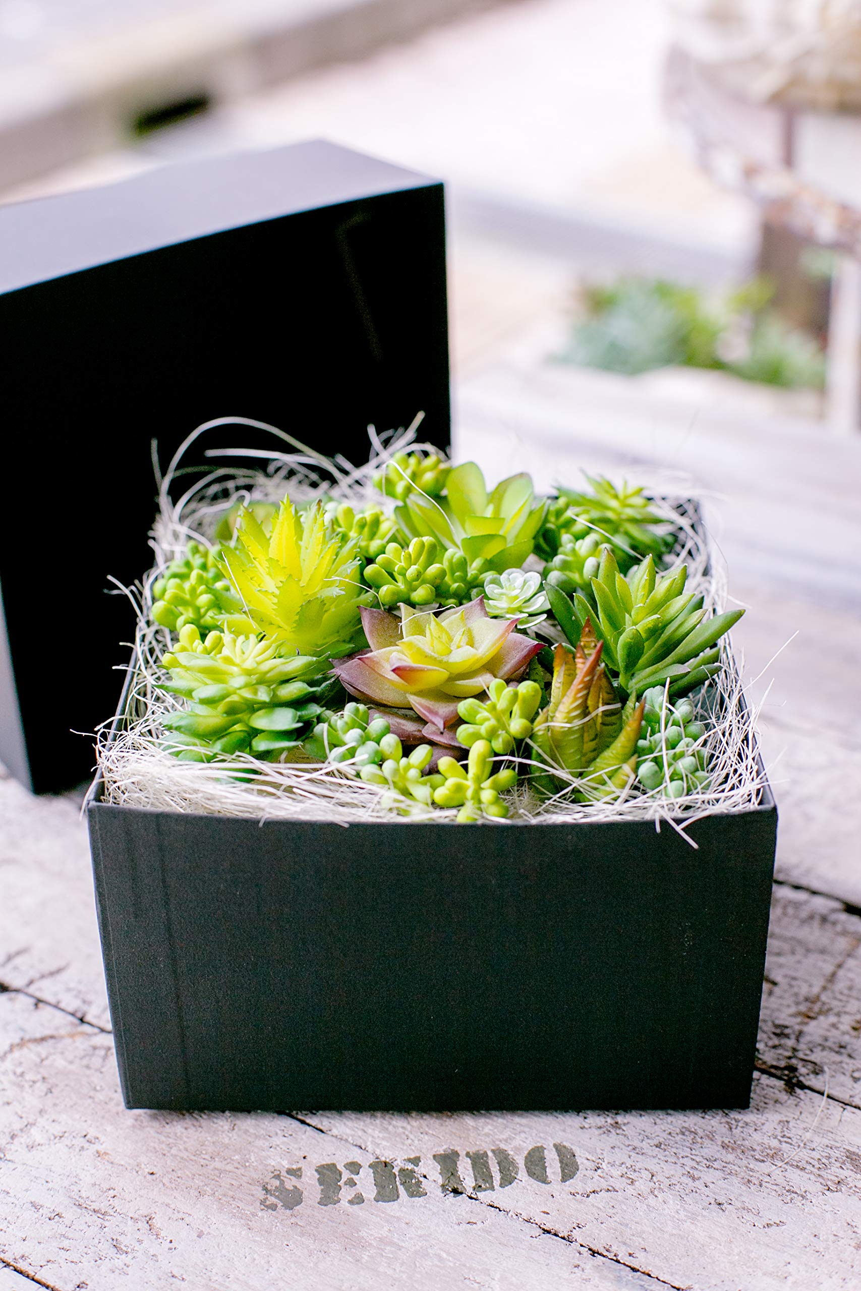 フェイク　多肉植物 Amazon｜多肉植物 造花 寄せ植え ギフト 多肉フェイクグリーン