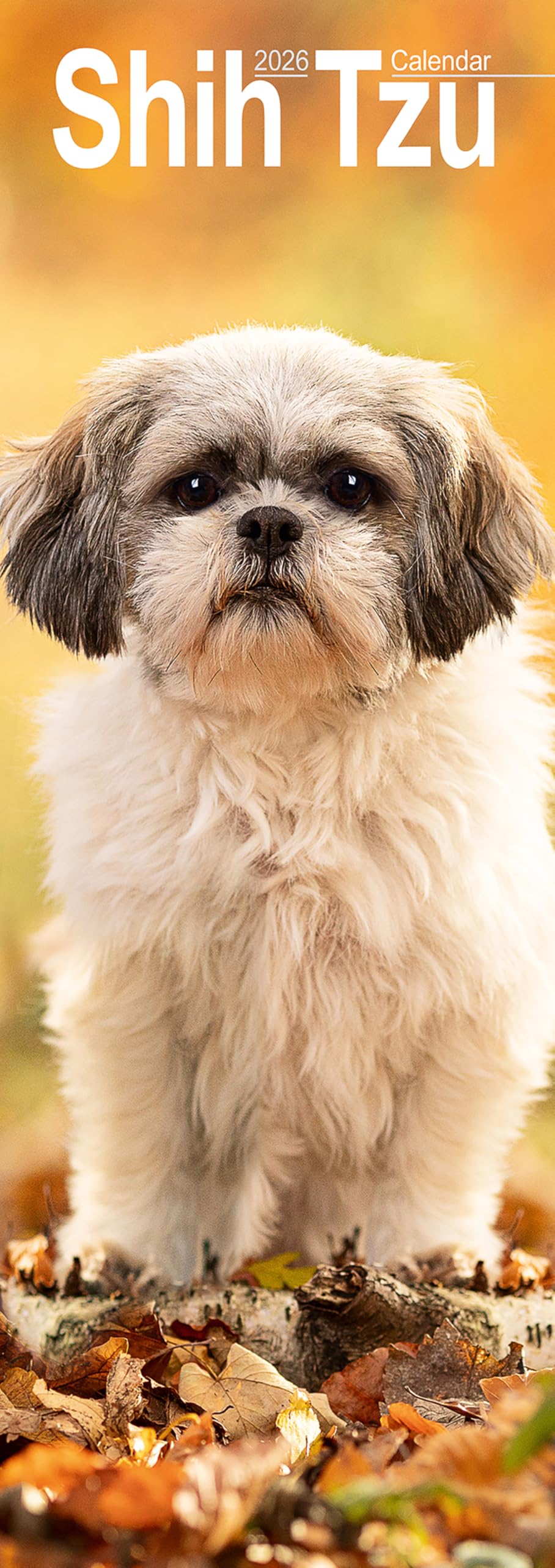 Otter House Shih Tzu Slim Calendar Month to View 2026