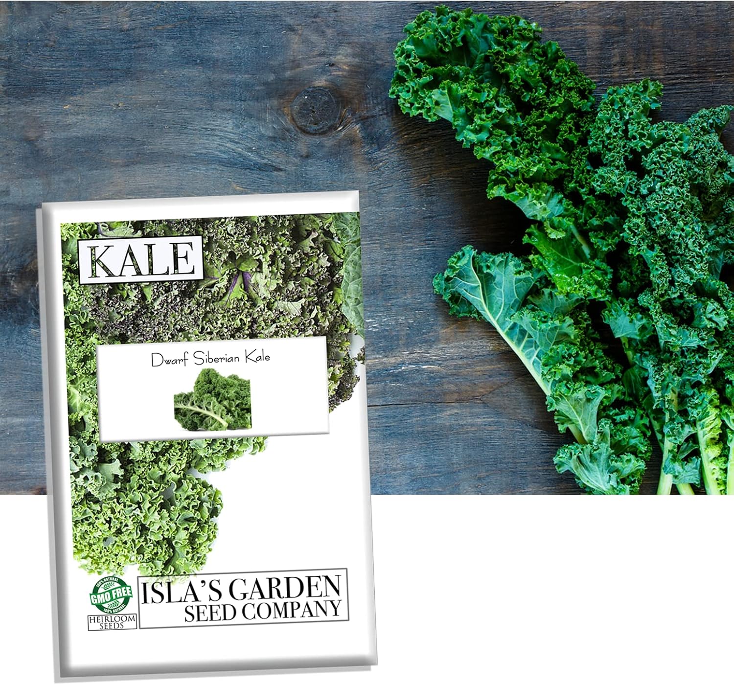 Dwarf Siberian Kale Seeds for Planting, 500+ Heirloom Seeds Per Packet, (Isla's Garden Seeds), Non GMO Seeds, Botanical Name: Brassica oleracea, Great Home Garden Gift