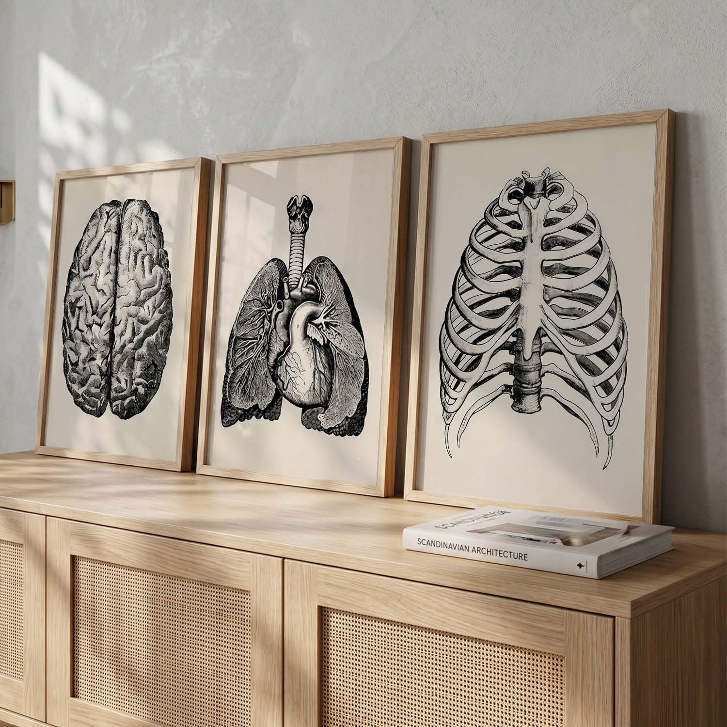 Floral Chiropractic Wall Art Posters - Set of 3 -19 Floral Chiropractic Wall Art Posters - Set of 3 -19
