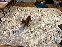 Review Image by Jennifer W. Jennifer W.