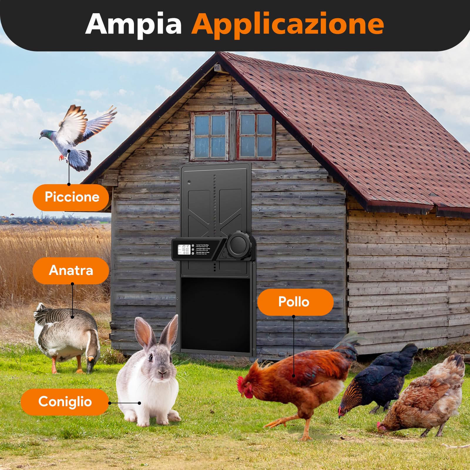 Porta Automatica per Pollaio Grande con Display, Alluminio con Timer di Ritardata Serale e Mattutina, Anti-Pizzicamento, Nero