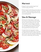 Vista 4 de Burpee - Semillas de tomate híbrido "Big Boy", tomate grande para rebanada con sabor rico, 50 semillas no-GMO