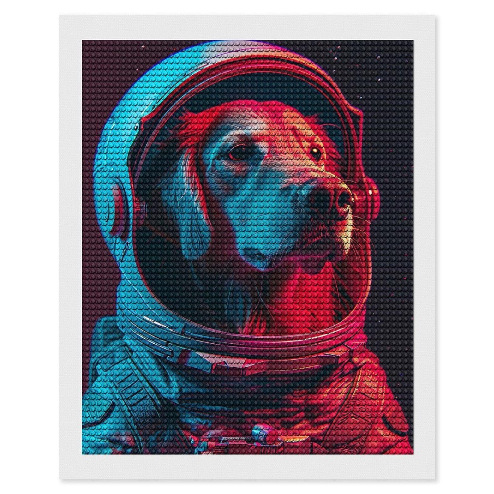 Junmoney Dog Astronaut Round Drill Diamond Painting 16"x20", Satisfying Creative Project, Complete Accessories, Printed Canvas