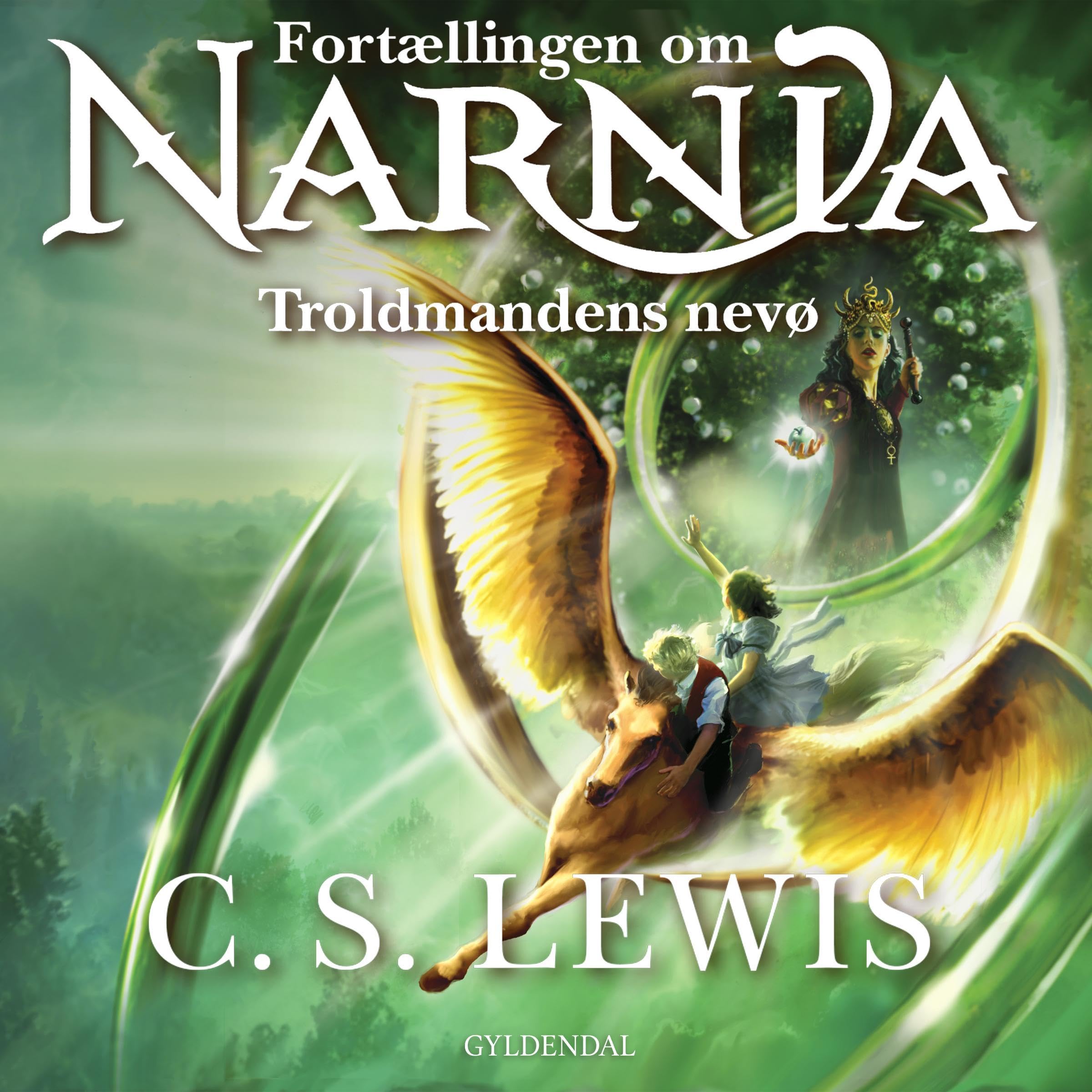 Cover art for Troldmandens nevø