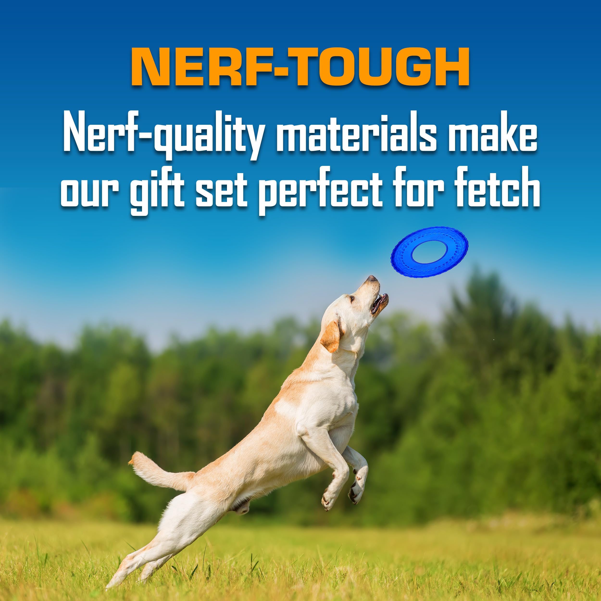 Nerf Dog Set regalo giocattolo: 7.5 "TPR 3 Ring Tug, 7" TPR EXO Squeak Bone, e 10 "Traslucido TPR Tire Flyer
