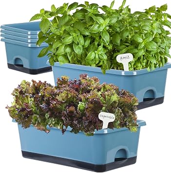 Oliz Window Box Planter 6 Pcs, 17 Inches Rectangle Flower Pots with Drainage Holes and Trays, Vegetable Planters for Windowsill Patio Garden Balcony Home Indoor Outdoor (Blue, 18 * 10 * 6 inch)