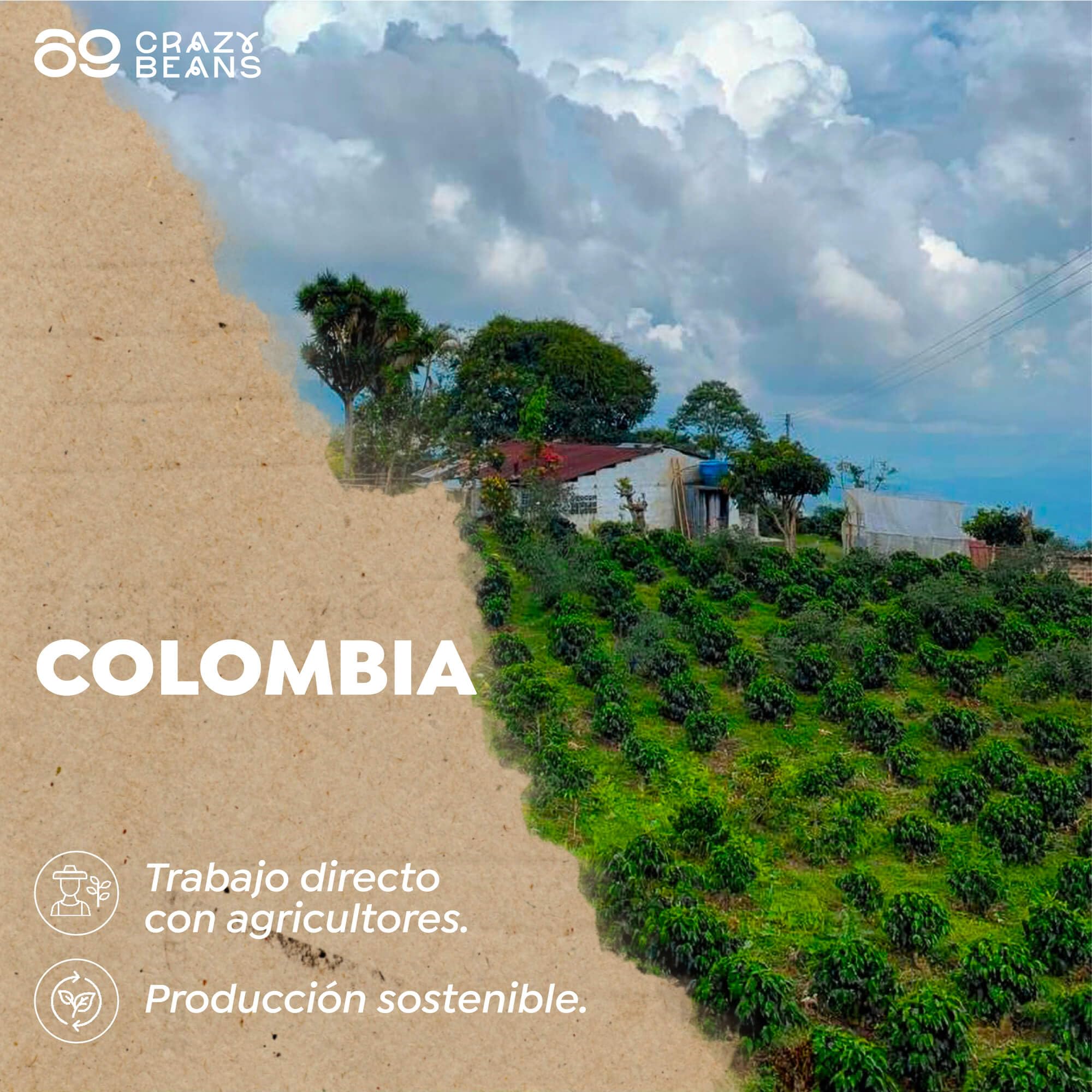 Cafe de Especialidad en grano Italian Blend | 80% Arábica / 20% Robusta | Colombia & India | Perfil Intenso con Notas de Chocolate Negro, Especias y Malta Tostada | Specialty coffee | 500g
