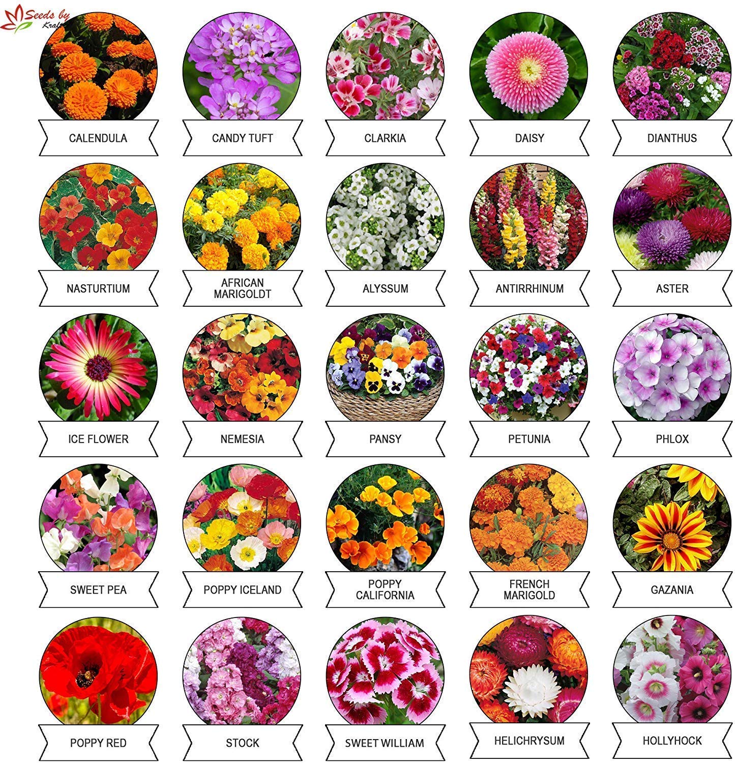 Kraft Seeds by 10club Fresh Flower Seeds for Home Gardening (25 Packets, Approx 1500 seeds , Mix) | Natural Flowering Seeds