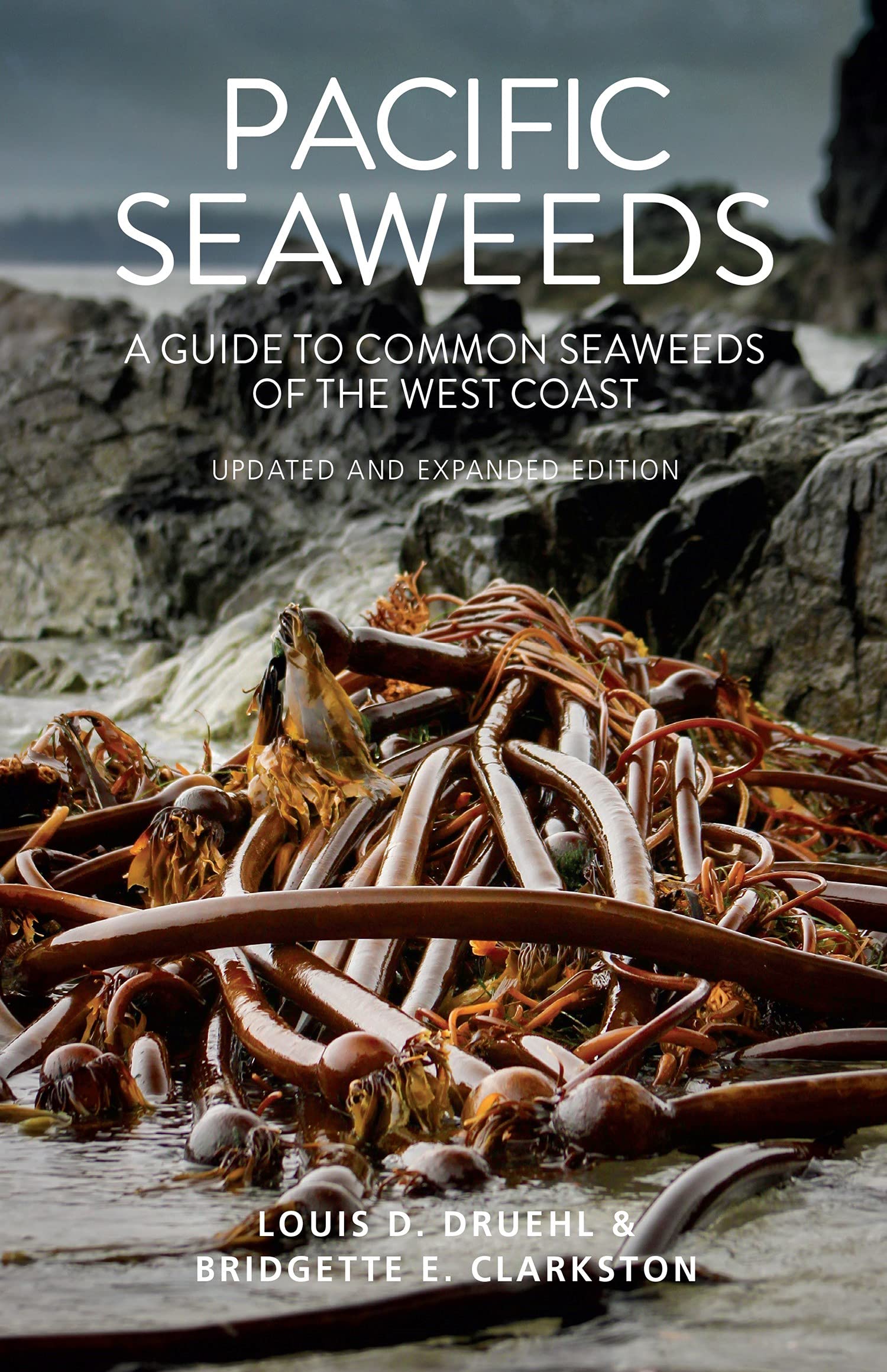 Pacific Seaweeds: Updated and Expanded Edition
