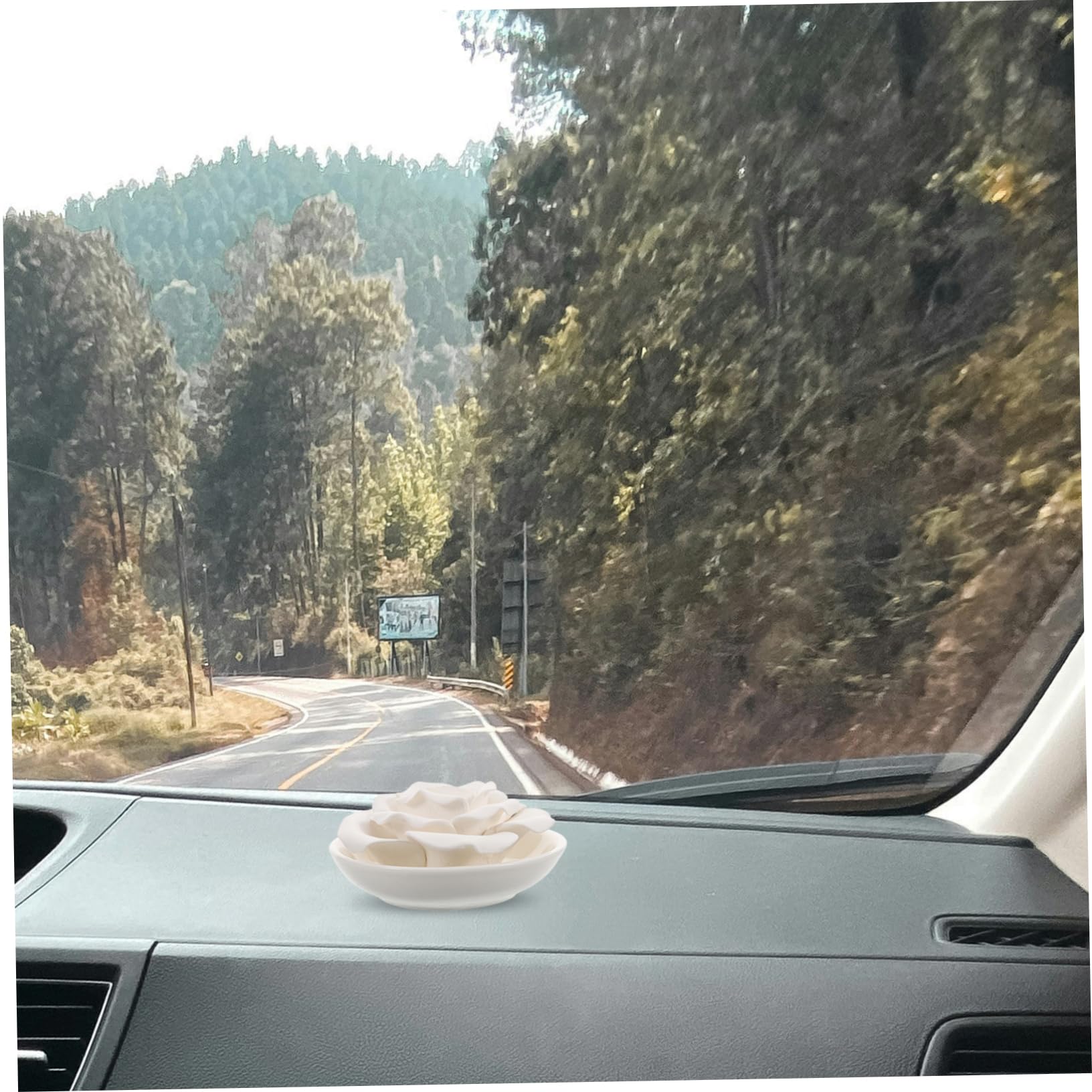 Difusor de Aromaterapia Forma de Flor Difusor Portátil de Piedra para Coche Dormitorio Baño Aromaterapia y Hogar