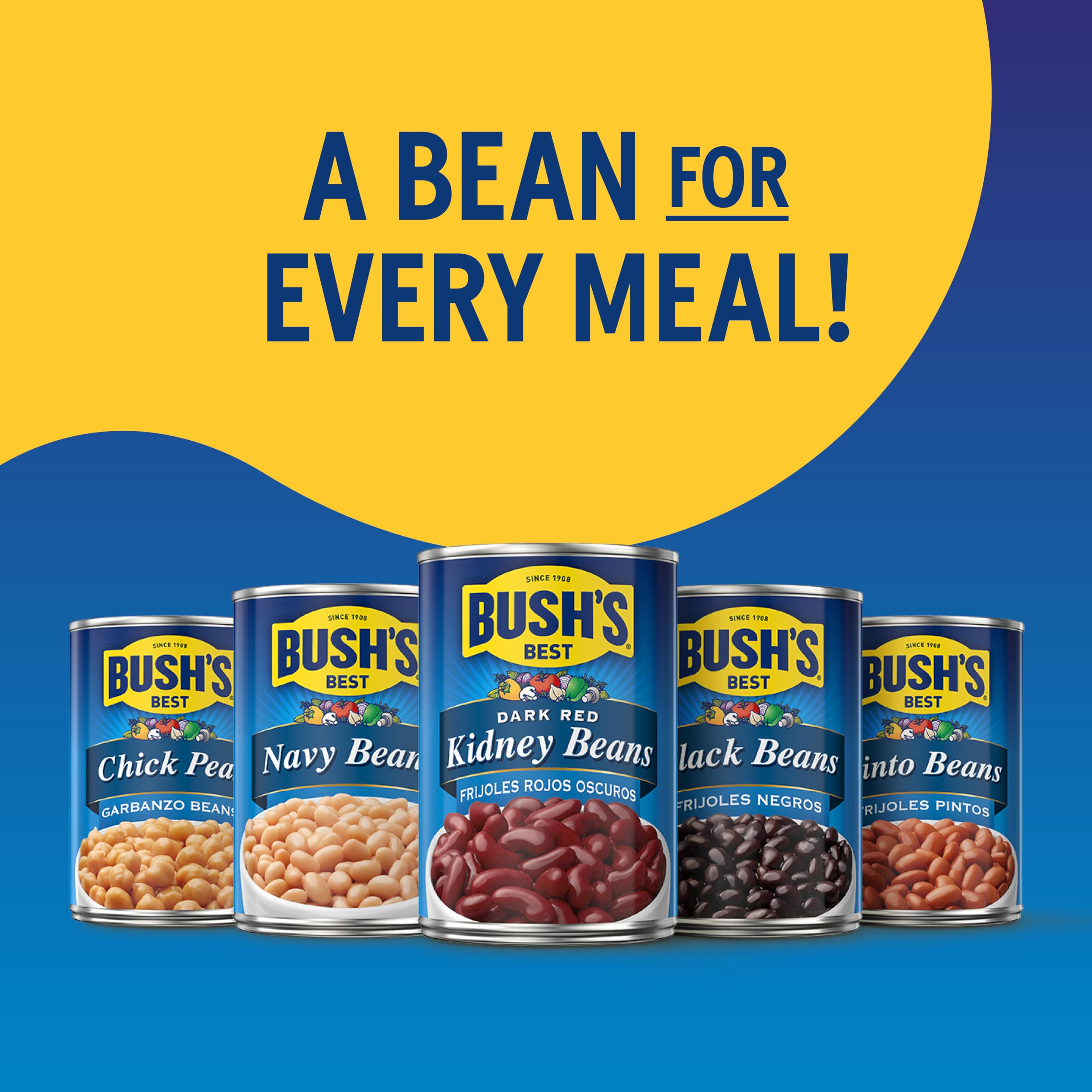BUSH'S BEST Pinto Beans, 16 Ounce Can, Canned Beans, Pinto Beans Canned, Source of Plant Based Protein and Fiber, Low Fat, Gluten Free, For Soups, Salads and More