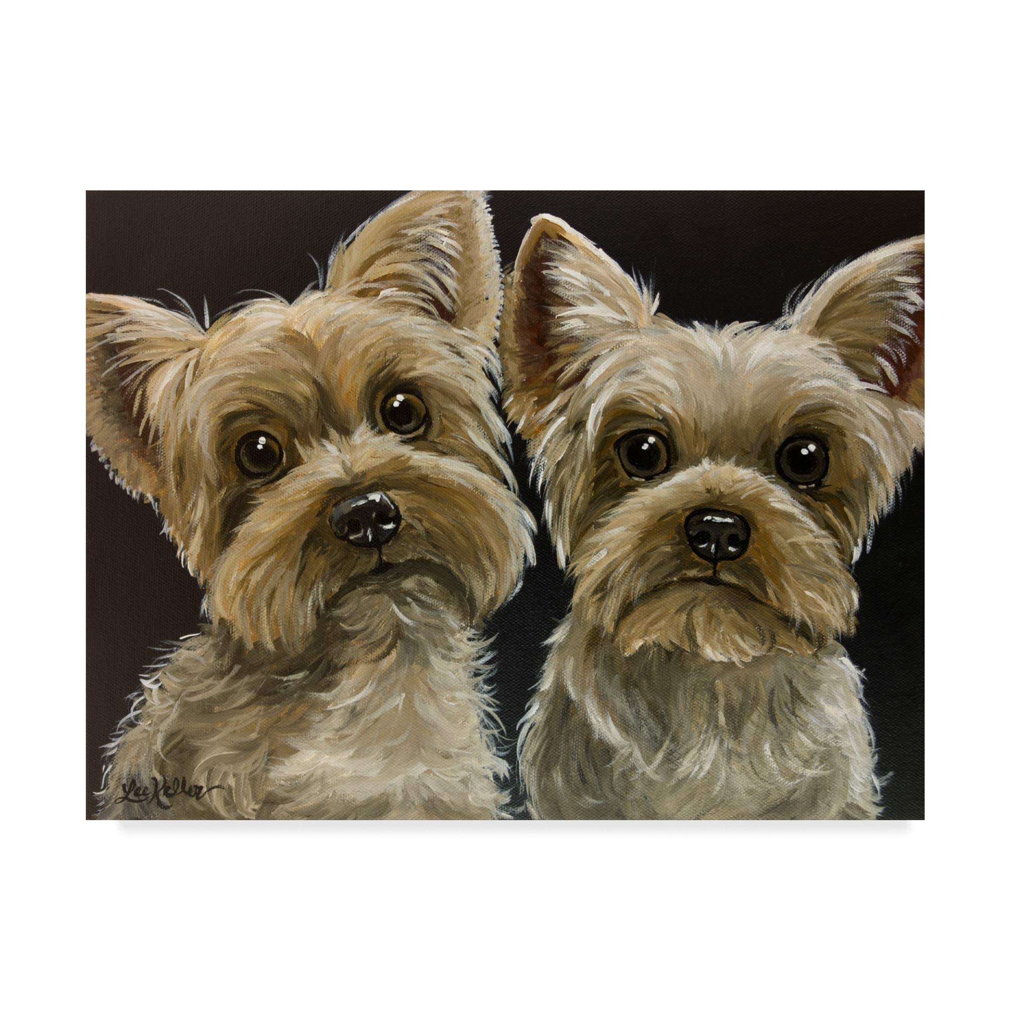 Do Yorkies Do Better In Pairs