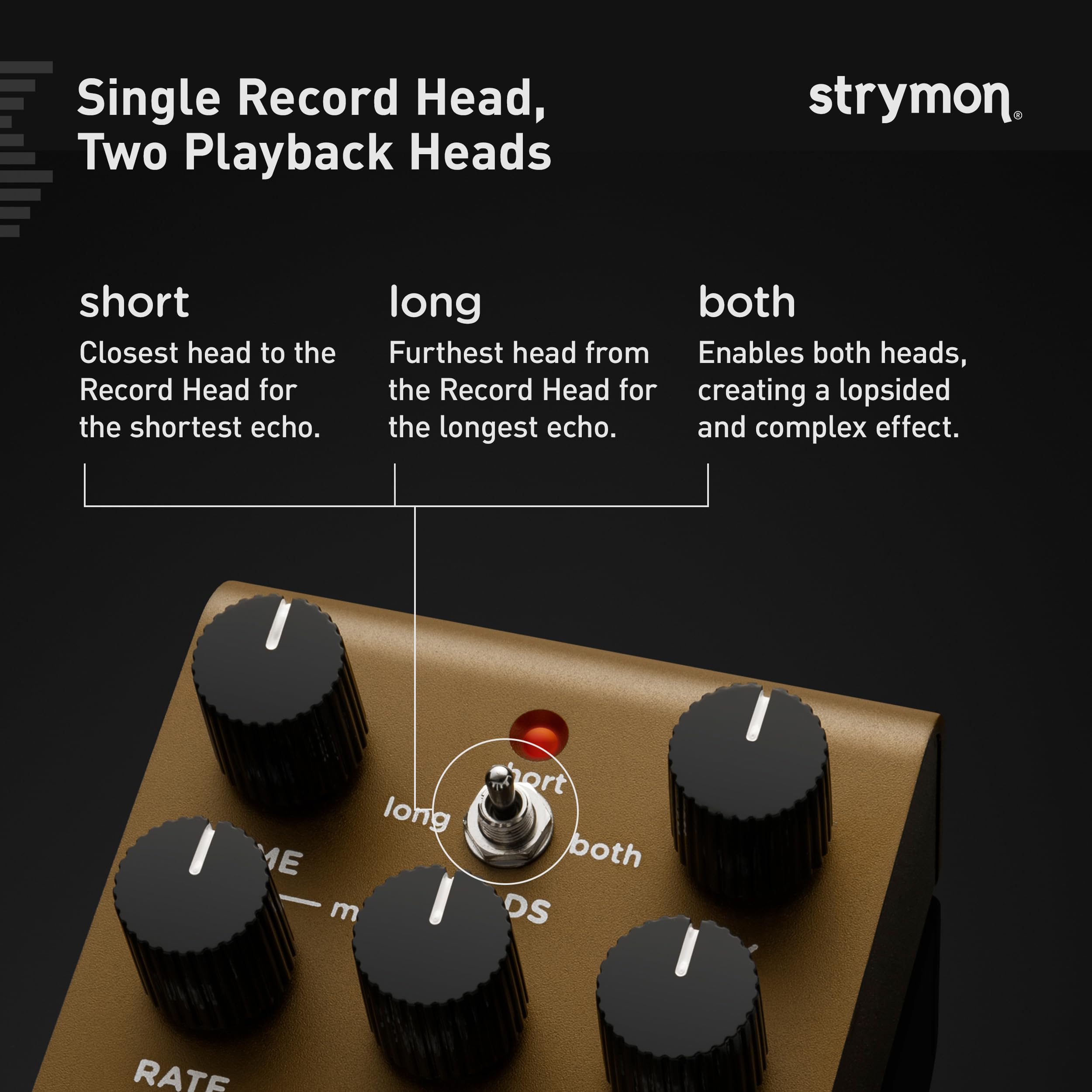 Amazon.com: Strymon Olivera Vintage Oil Can Echo Pedal : Musical