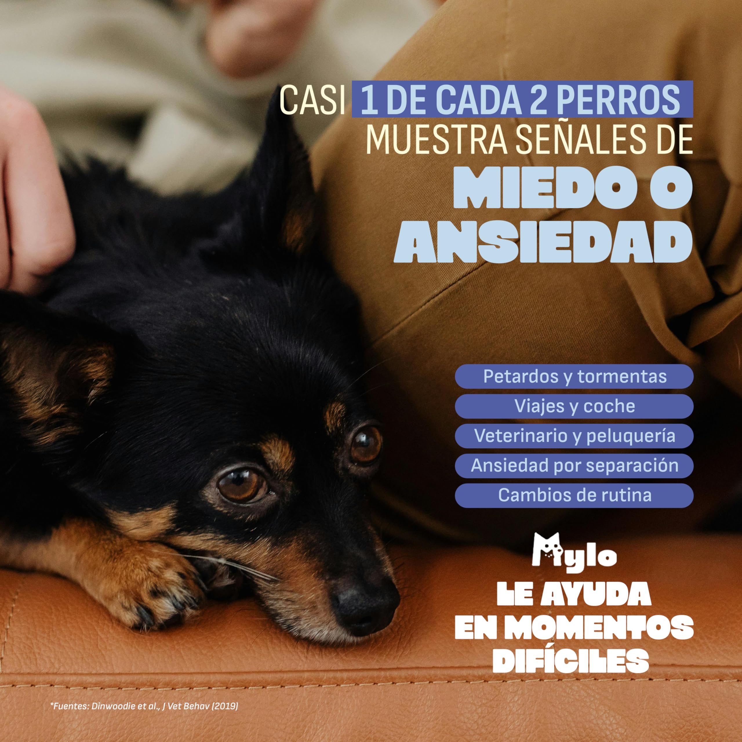 MYLO Calmante per cani, ansia da separazione, tempeste e viaggi, alternativa ai feromoni per cani, con magnesio, triptofano e ashwagandha, 60 pezzi