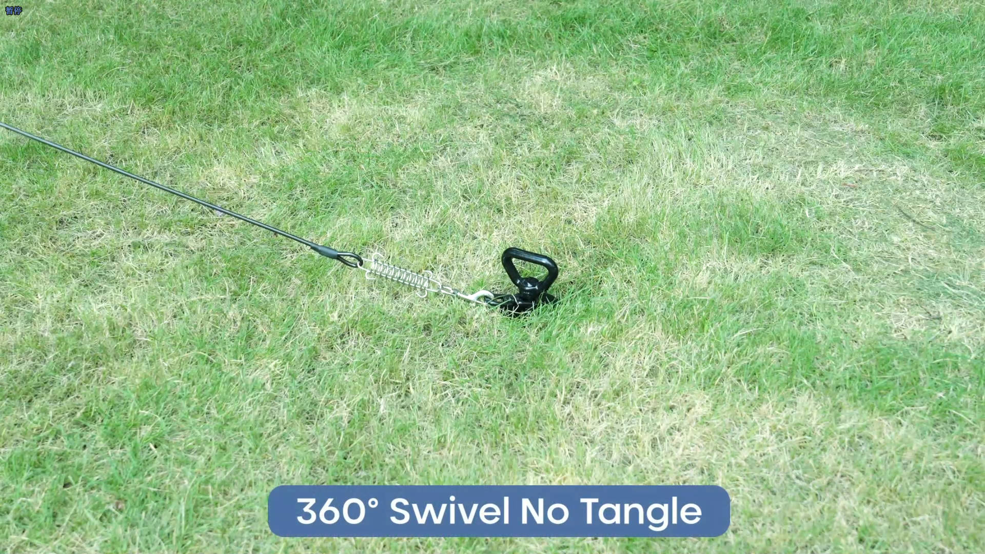 Tinnmao Heavy Duty Dog Tie Out Cable & Spiral Stake, 30 FT Tether with 15.7" (40cm) 12mm Coated Carbon Steel Screw-in Anchor (7cm Helix), Dual Swivel + Shock Spring, Outdoor Tie Out for Yard & Camping - image 8
