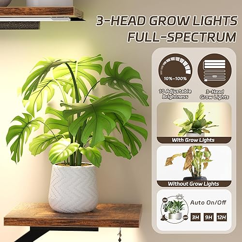 Miniatura 4 de DTK Soporte para plantas de interior con luces de crecimiento, estante de luz para plantas de 62.5 pulgadas de alto, estante de luz de cultivo de 9