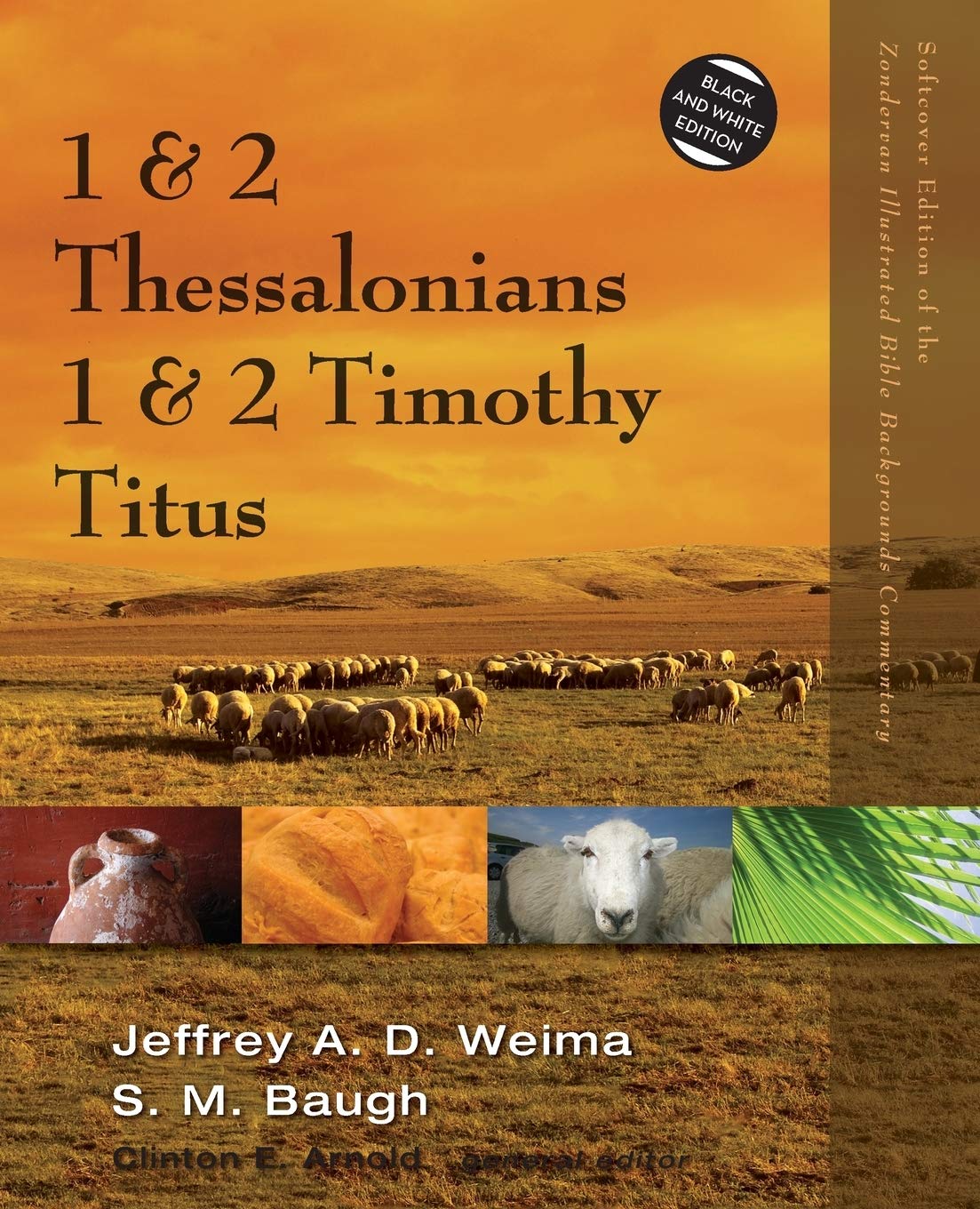 1 and 2 Thessalonians, 1 and 2 Timothy, Titus (Zondervan Illustrated Bible Backgrounds Commentary)