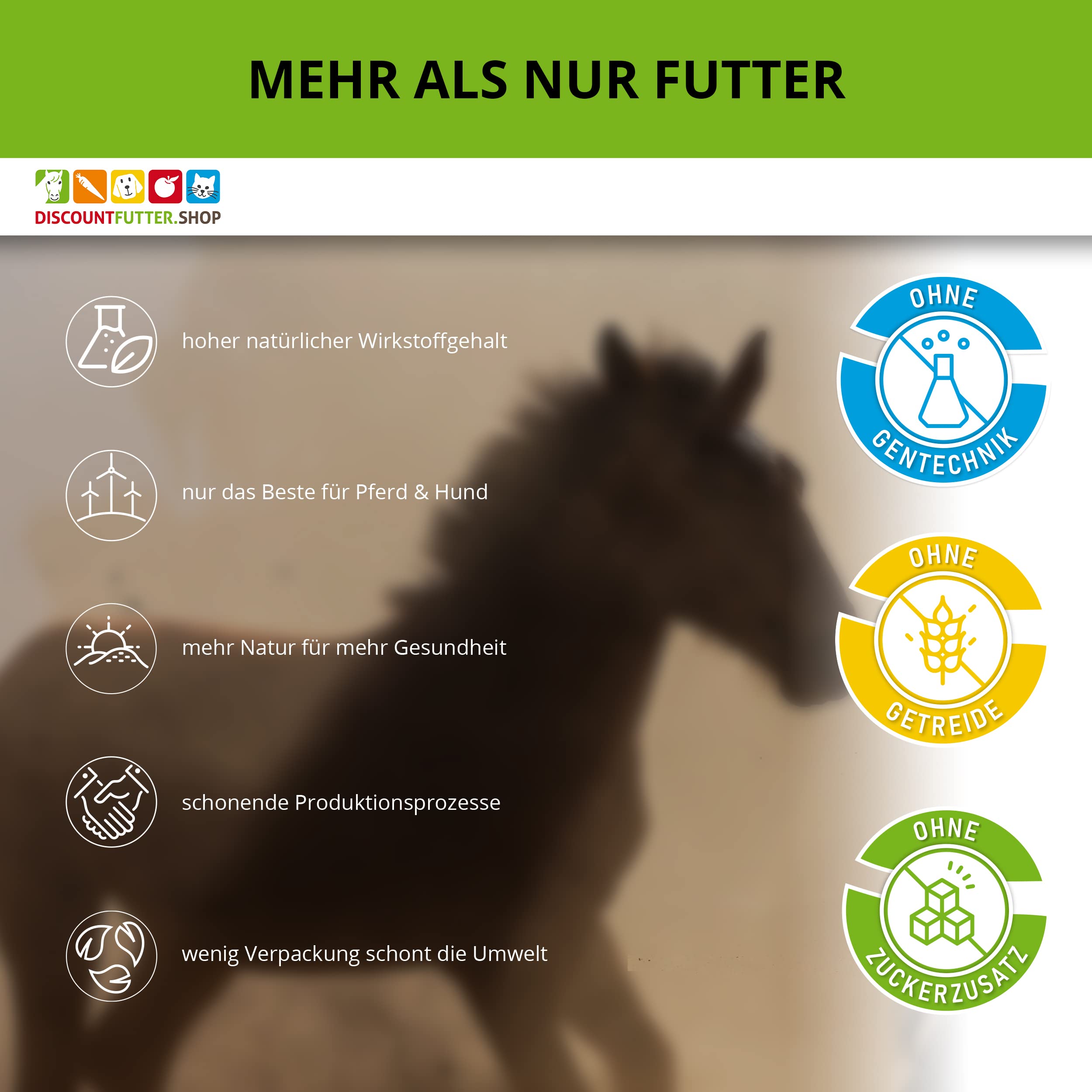 Kollagen 100 Pulver für Pferde | 1 kg Pulver | 100% reines Kollagenhydrolysat | Unterstützt Gelenkknorpel, Sehnen & Bänder | Vorbeugung von Arthrose | Höchste Reinheit
