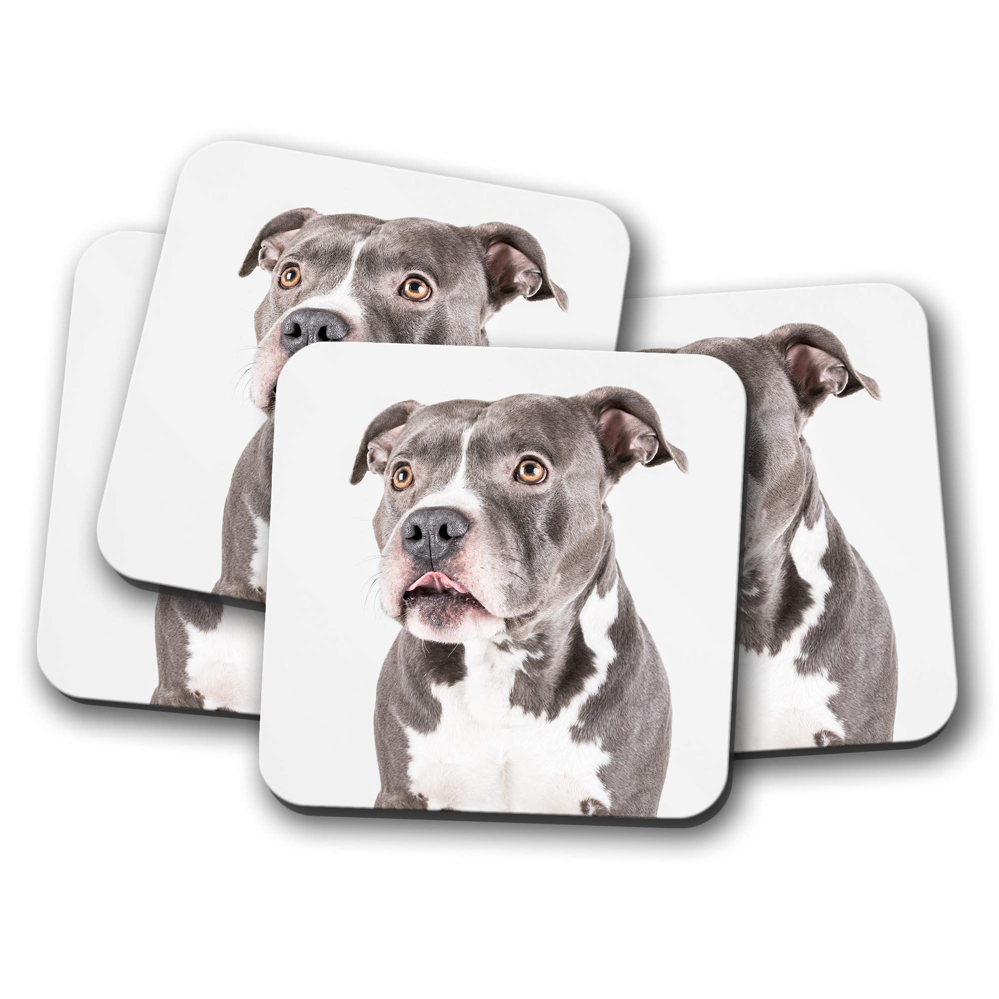 4 Set - Blue Staffie Coaster - Dog Pit Bull American Terrier Puppy #12382