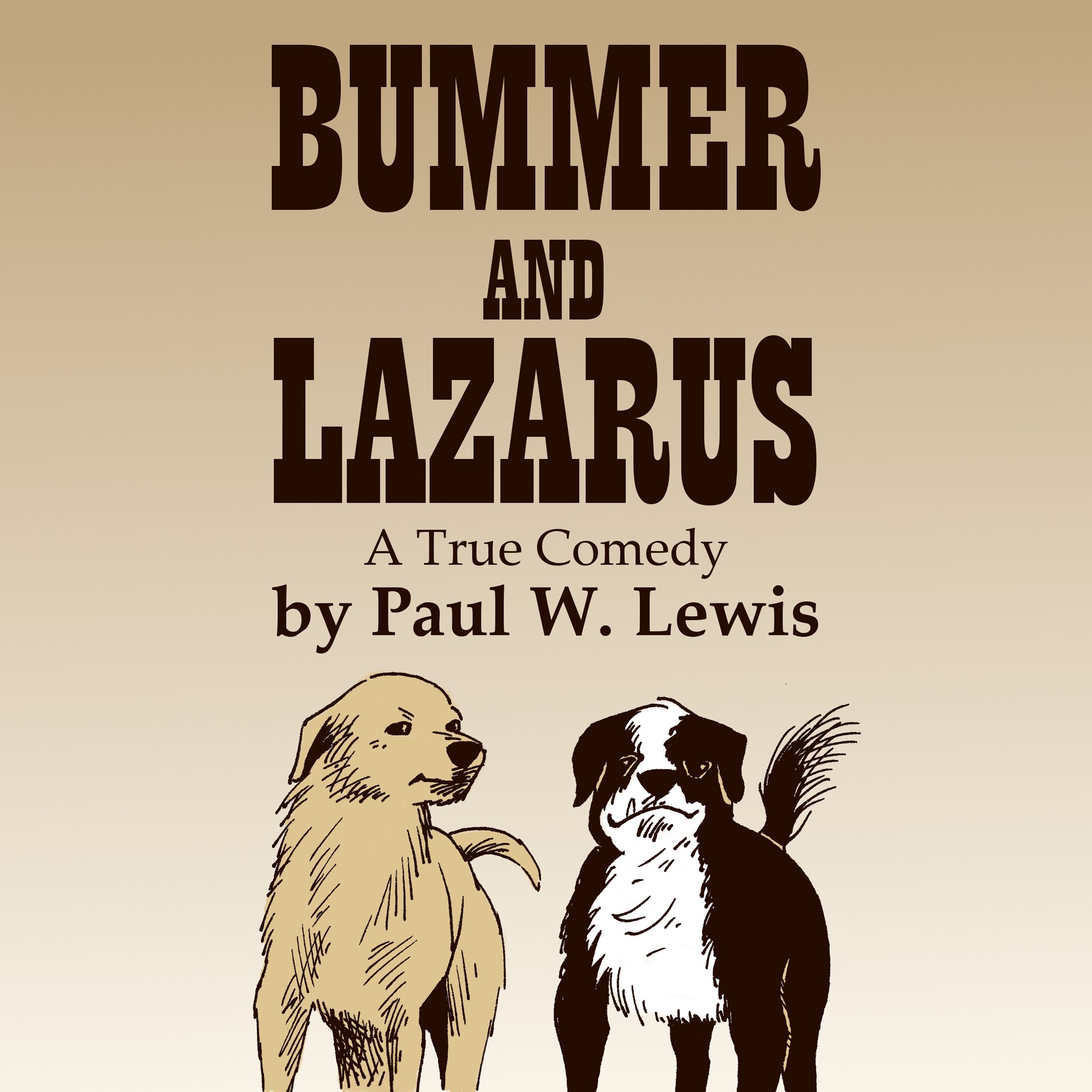 Bummer and Lazarus: A True Comedy