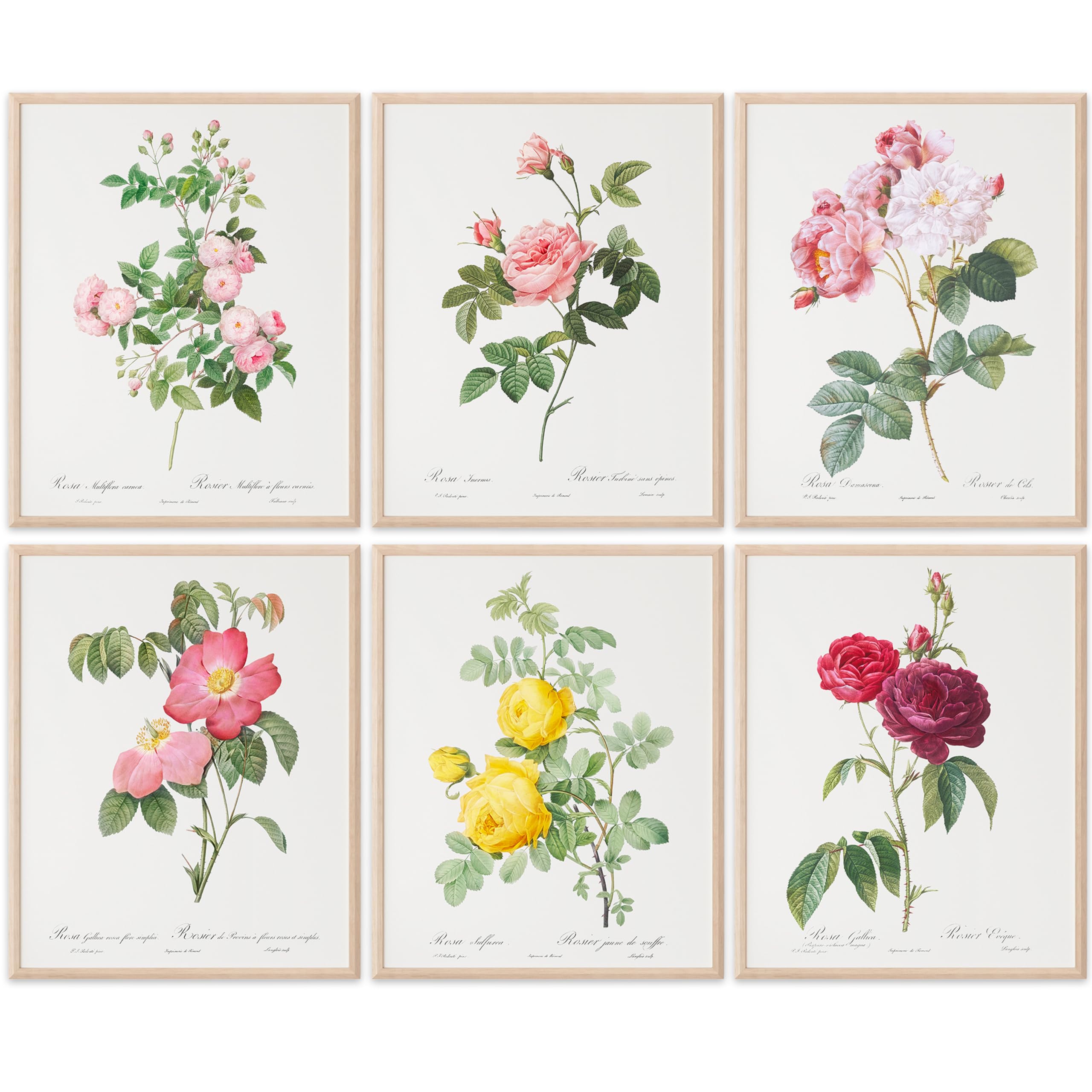 Vintage Flowers Wall Art Prints (Set of 6) Art Print - 8x10 (Unframed) | Elegant Floral Décor | Vintage Decor | Bathroom Decor Wall Art | Living Room Decor | Farmhouse Decor | Abstract Wall Art