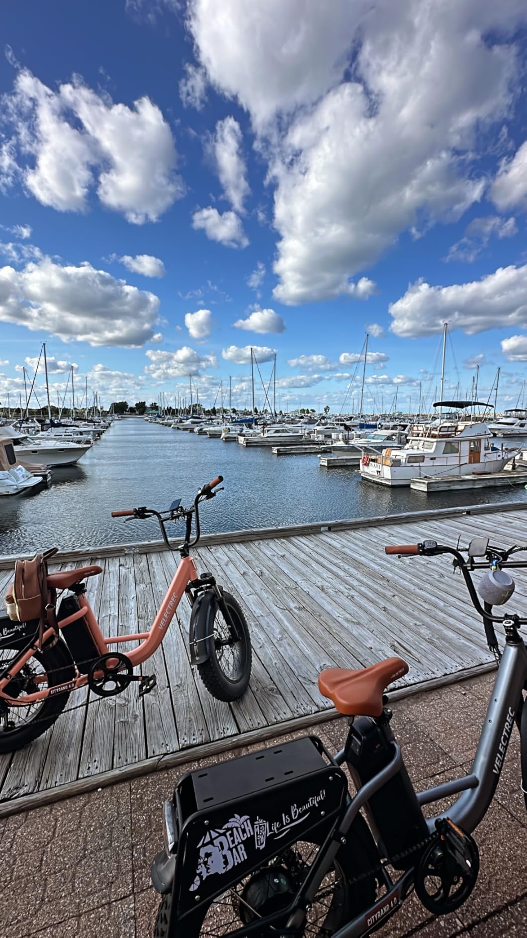EUY Electric Bike for Adults with Peak 1500W Motor, 48V 20Ah Removable Battery Fast Ebike,Max 70Miles & 30MPH,20" x4.0 Fat Tire Commuting Electric Mountain Bike,7-Speed, Step-Thru Bicycle photo review