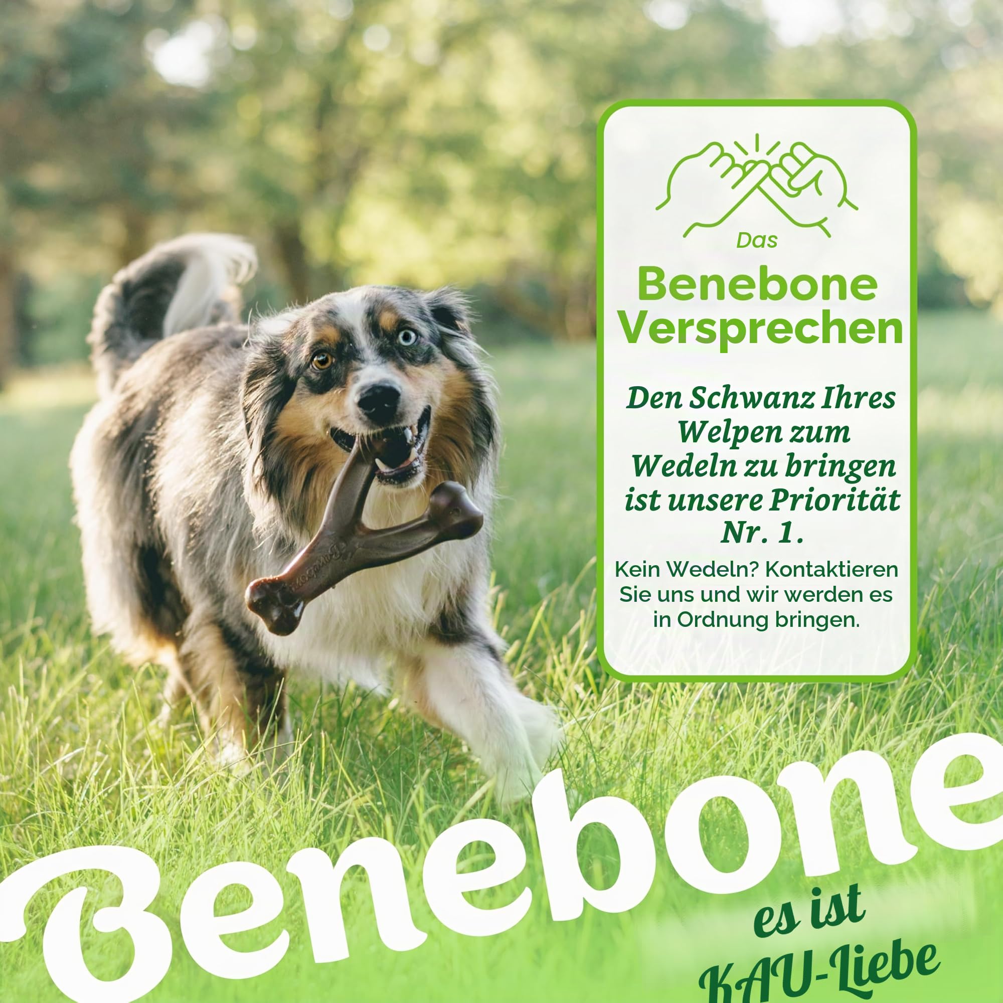 Benebone Wishbone für Hunde, mittlerer Speckgeschmack – Knochenspielzeug für energiegeladenes Kauen