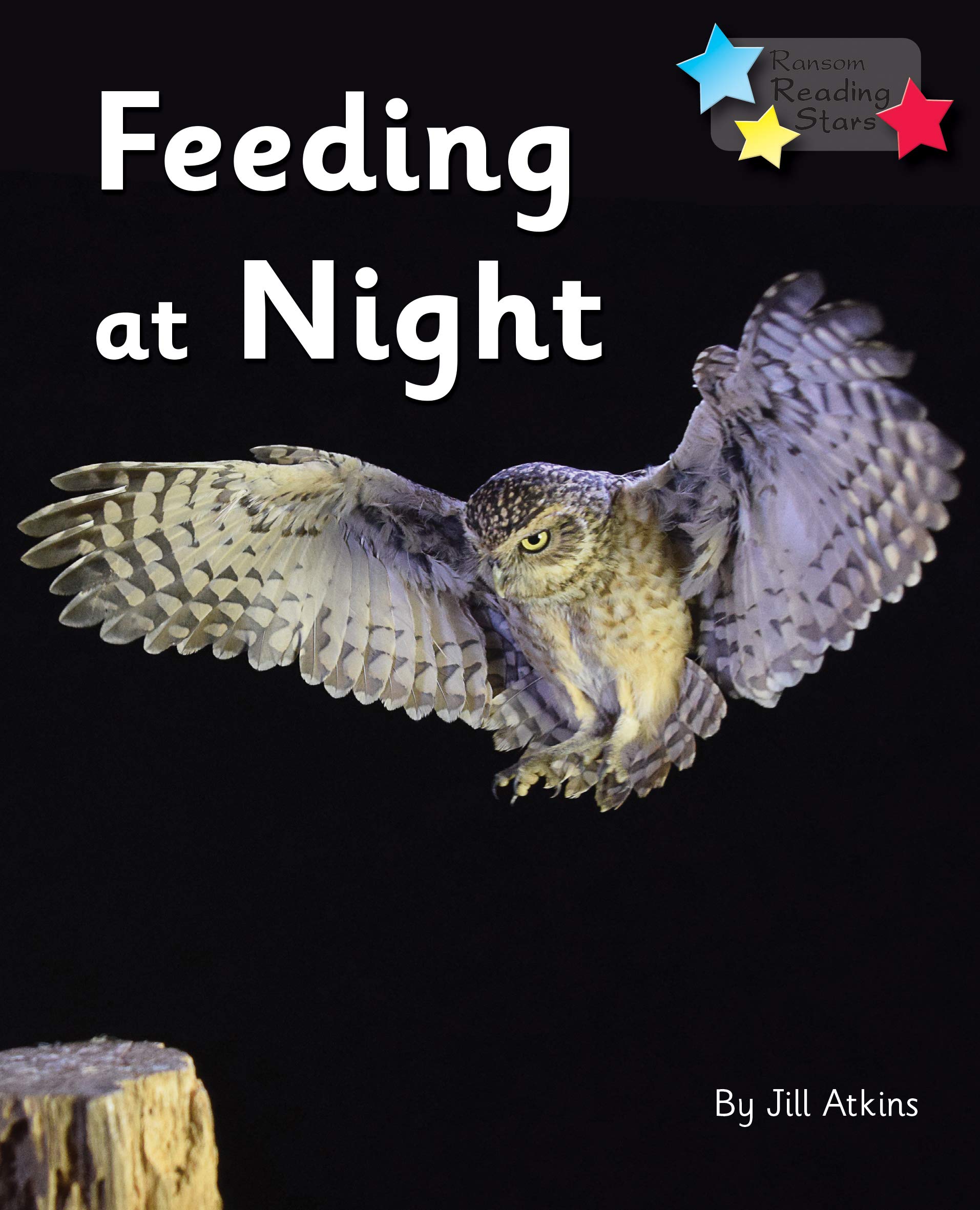 Feeding at Night: Phonics Phase 3 (Reading Stars Phonics)