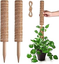 Pisol Moss Pole for Plants Monstera, Extendable Plant Sticks Support, Plant Stakes for Indoor Potted Plant, 15.7'' Coco Coir Pole Plant Trellis for Sphagnum, Pothos and Other Climbing Plants(2 PCS)