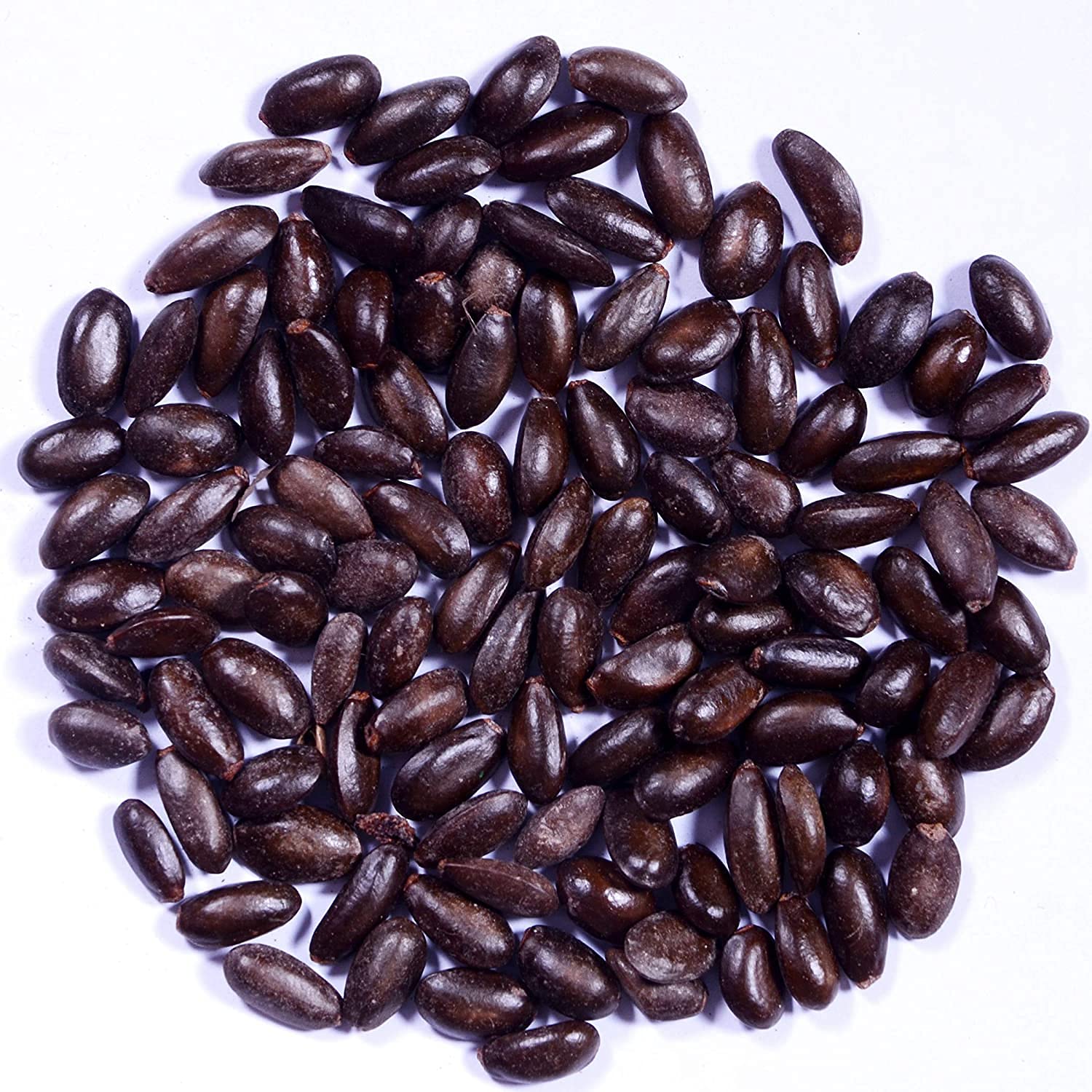 See full amazon price history chart for Verdor High Yielding Custard apple seeds-Sitaphal seeds (Annona squamosa) Seed Custard apple seeds-Sitaphal seeds Pack of (20 Grm) Verdor High Yielding Custard apple seeds-Sitaphal seeds (Annona squamosa) Seed Custard apple seeds-Sitaphal seeds Pack of (20 Grm) (B0B76GNR1H) Amazon Price History, Amazon Price Tracker